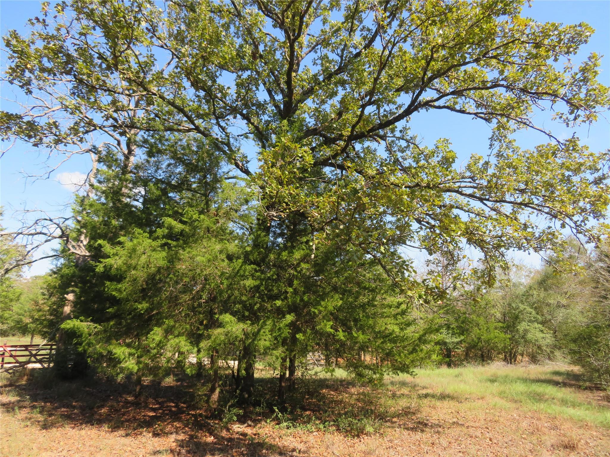 Tbd Fcr 257 Property Photo 16