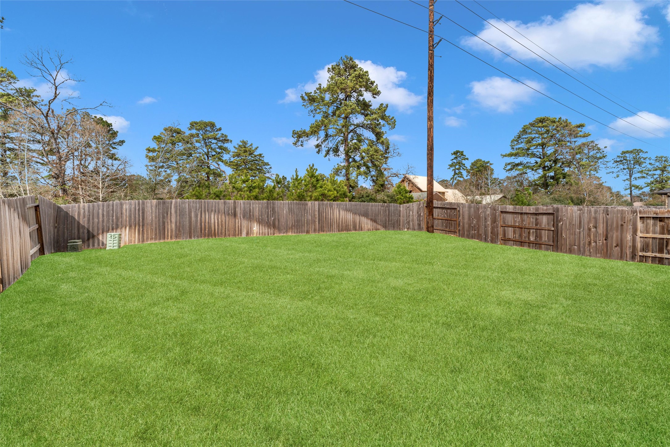 35448 Woodtrace Circle Property Photo 5
