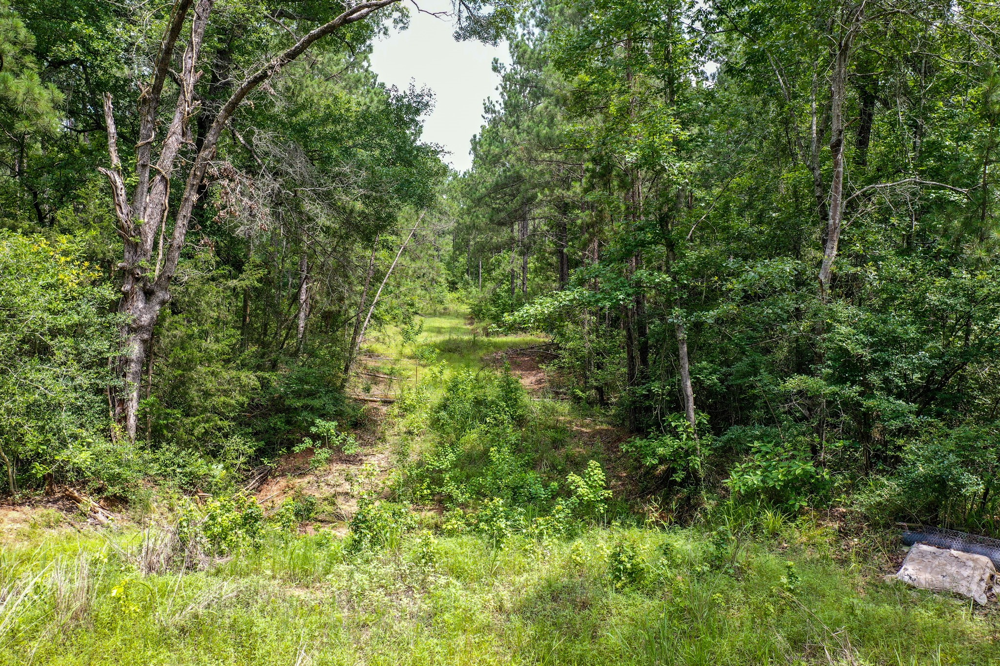 15.573 Ac Cr 1050 Property Photo 11