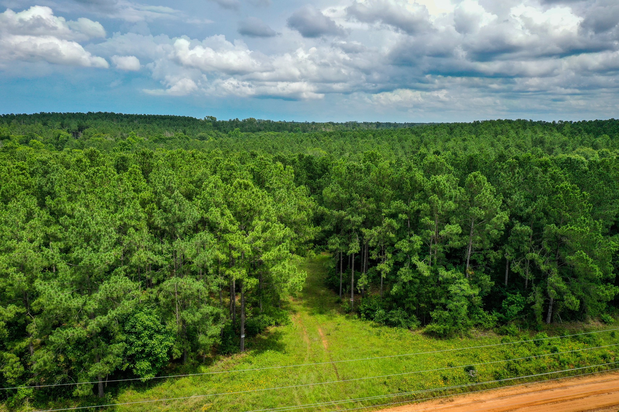 15.573 Ac Cr 1050 Property Photo 21