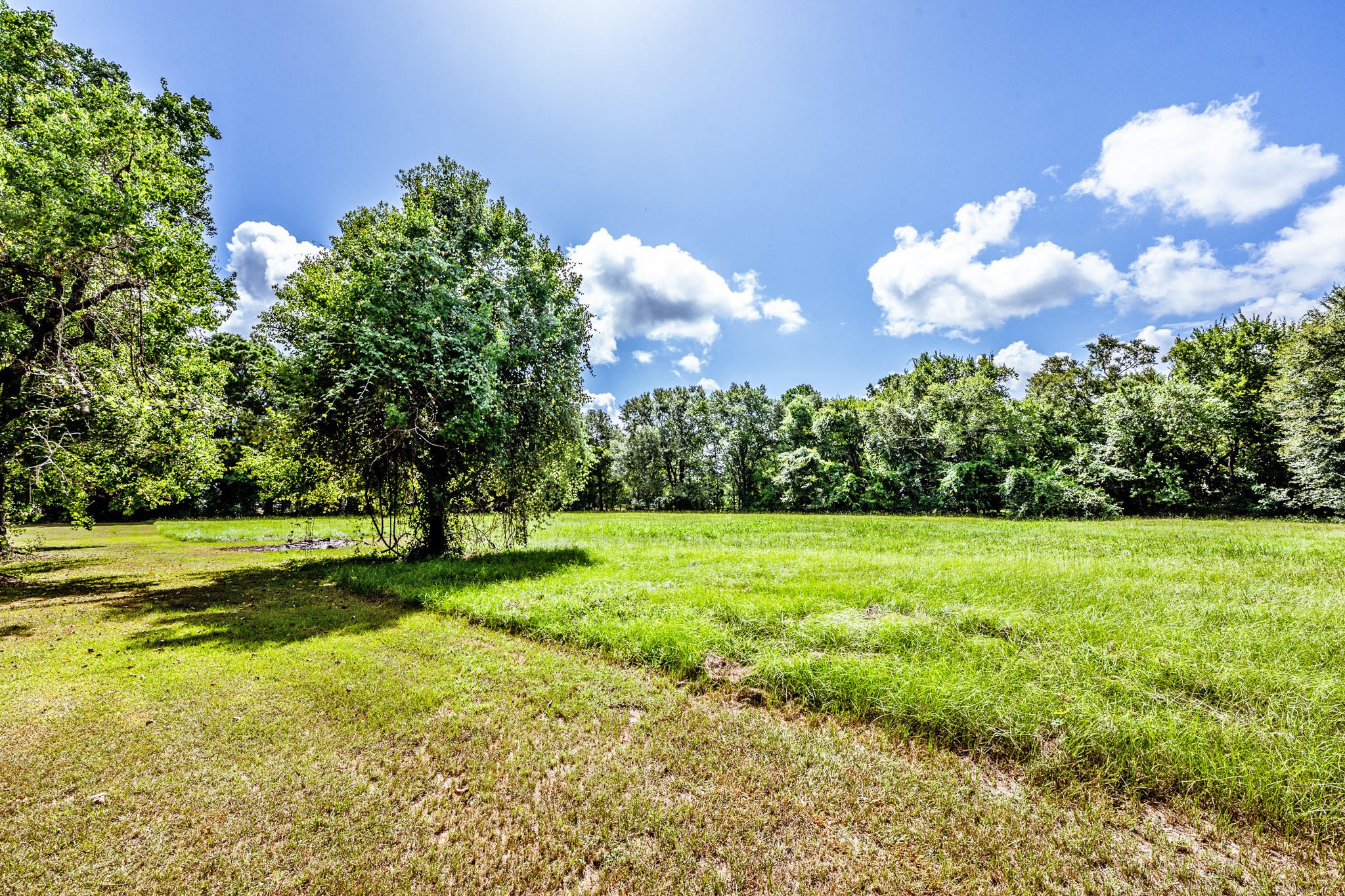 1385 Fm 1791 Property Photo 19