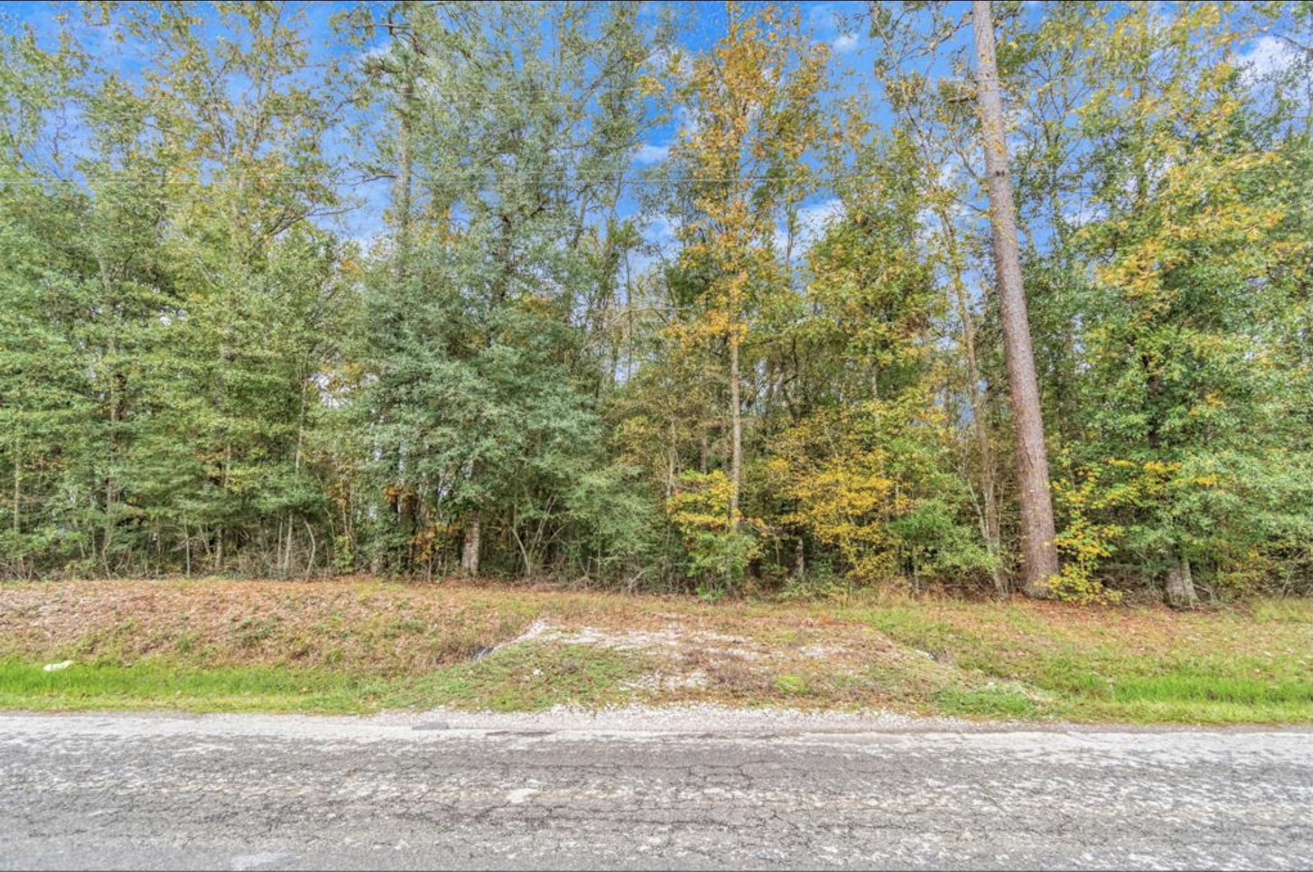 2330 County Road 2252 Property Photo 5