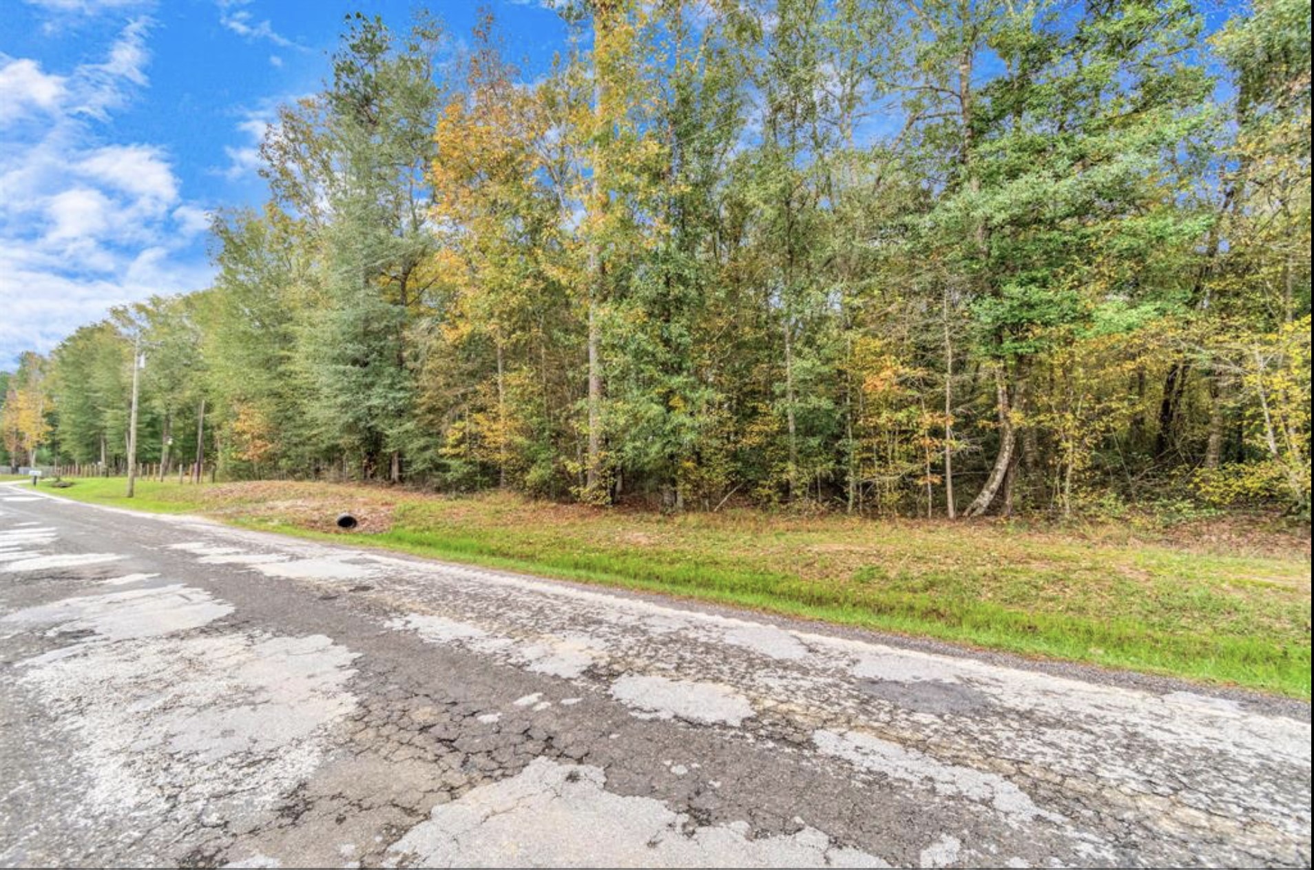2330 County Road 2252 Property Photo 6