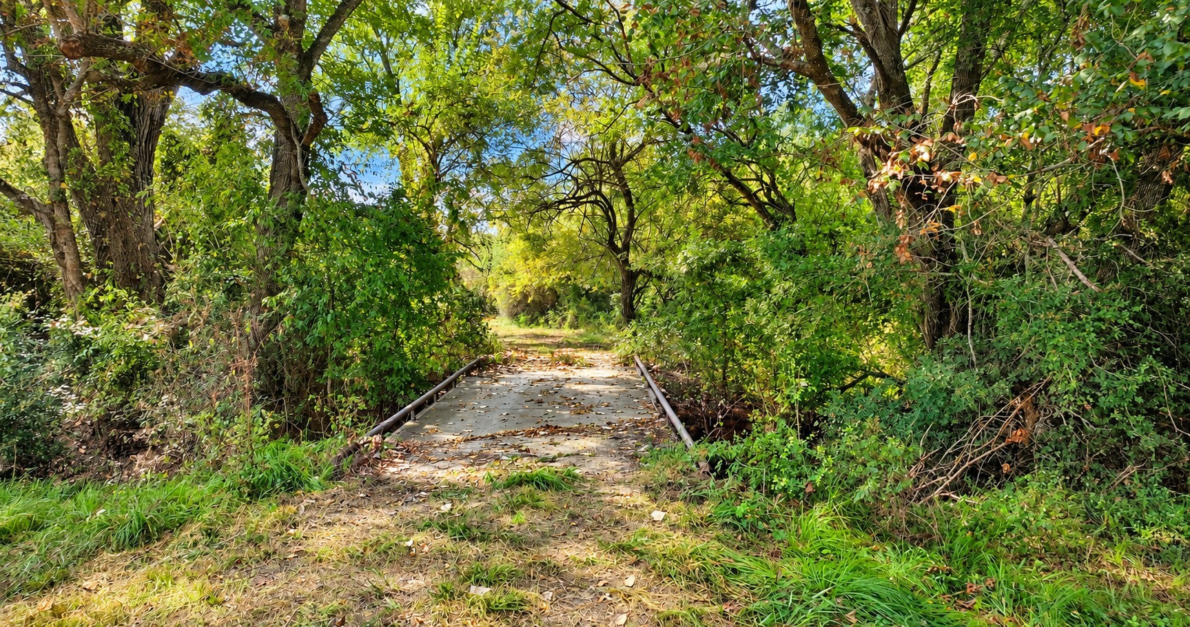 7396 County Road 204 Property Photo 45