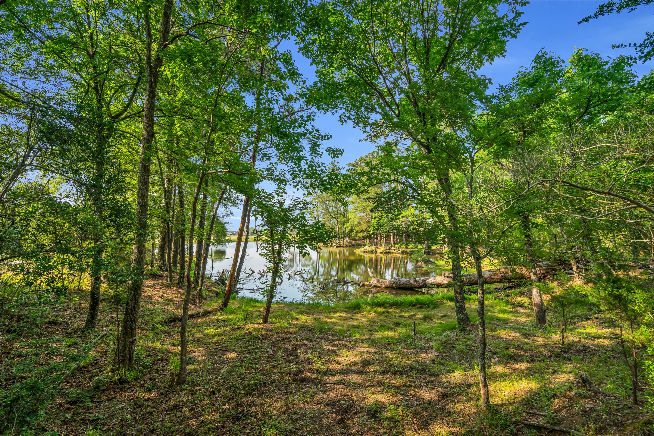 9727 Greenridge View Drive Property Photo 48