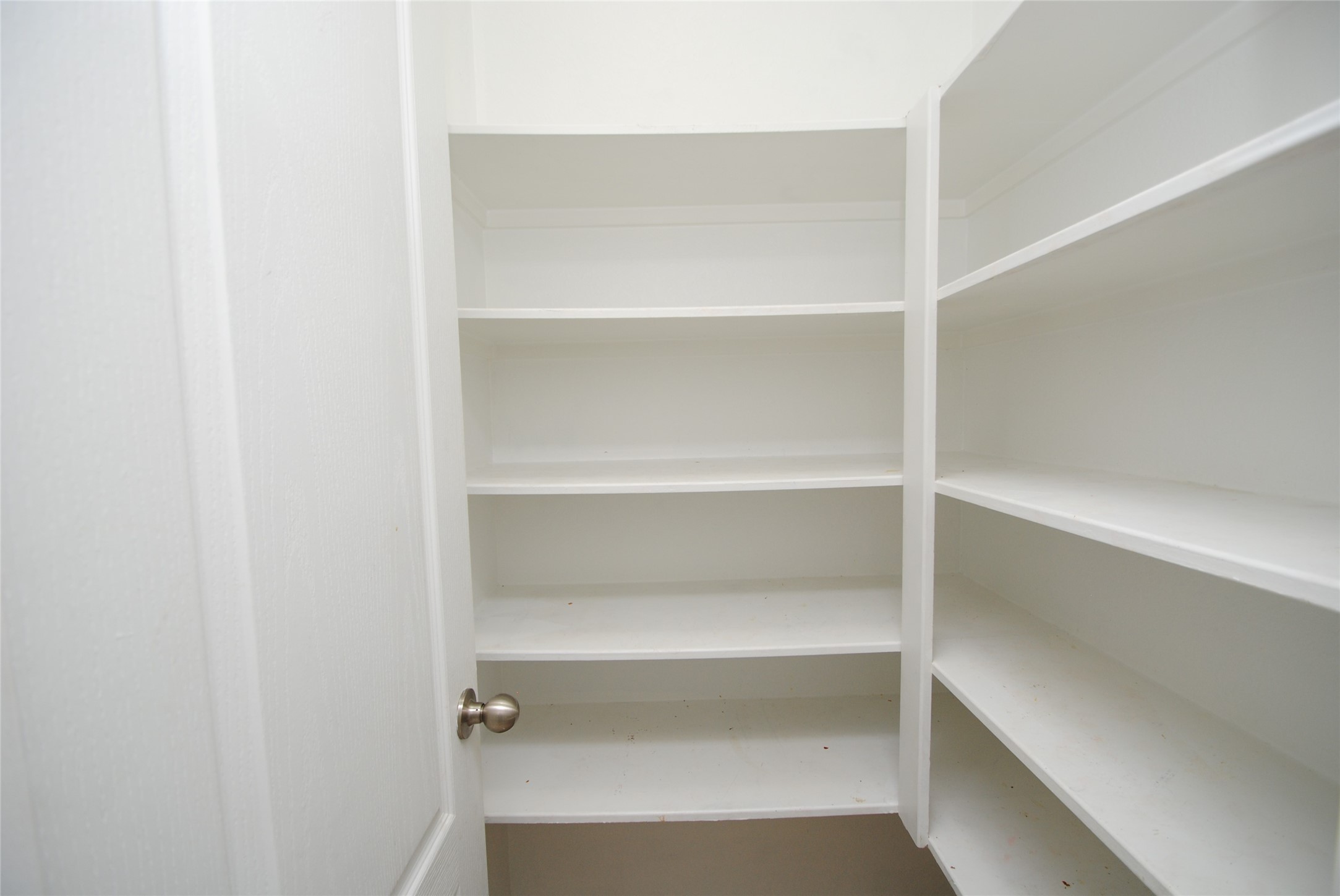402 Mornington Lane Property Photo 8