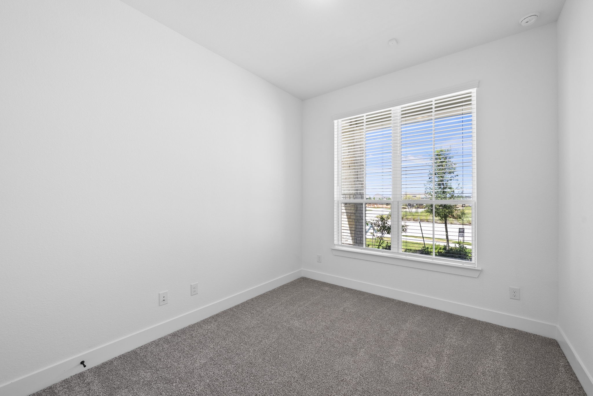 11306 Flower Petal Court Property Photo 4