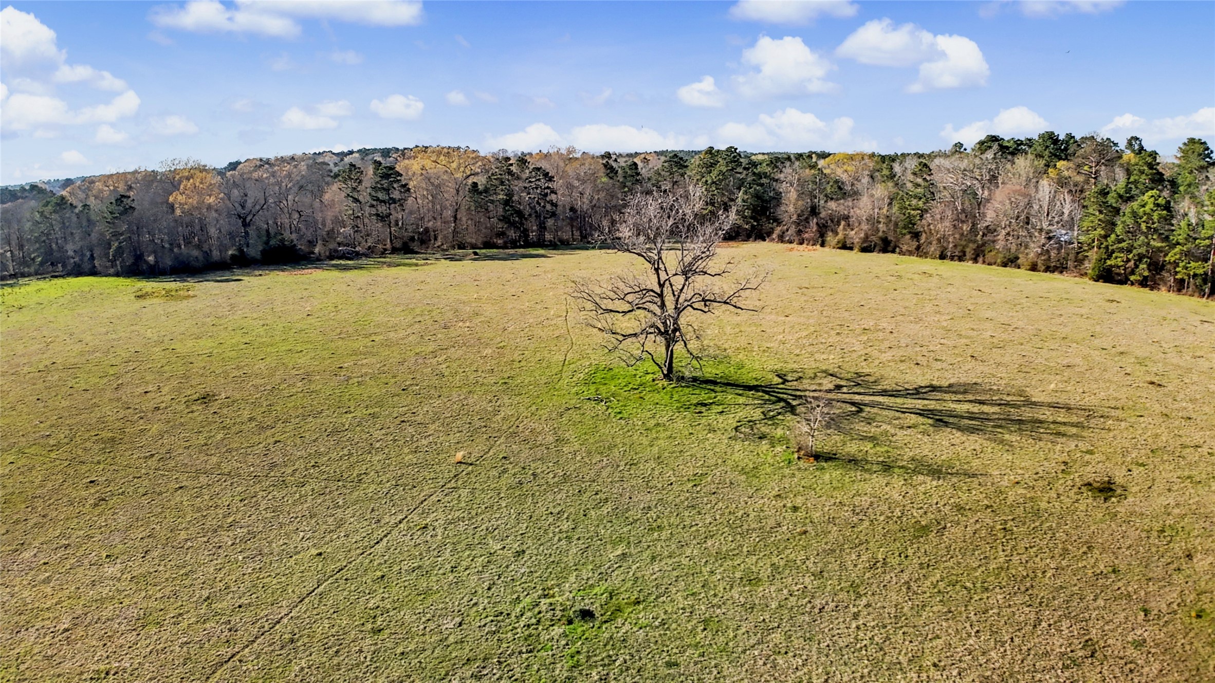 Tbd Us Highway 96 S Highway Property Photo 9