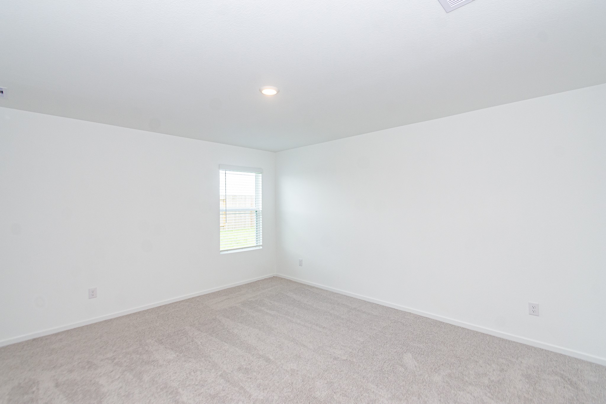 12819 Ivy Creek Ct Property Photo 10