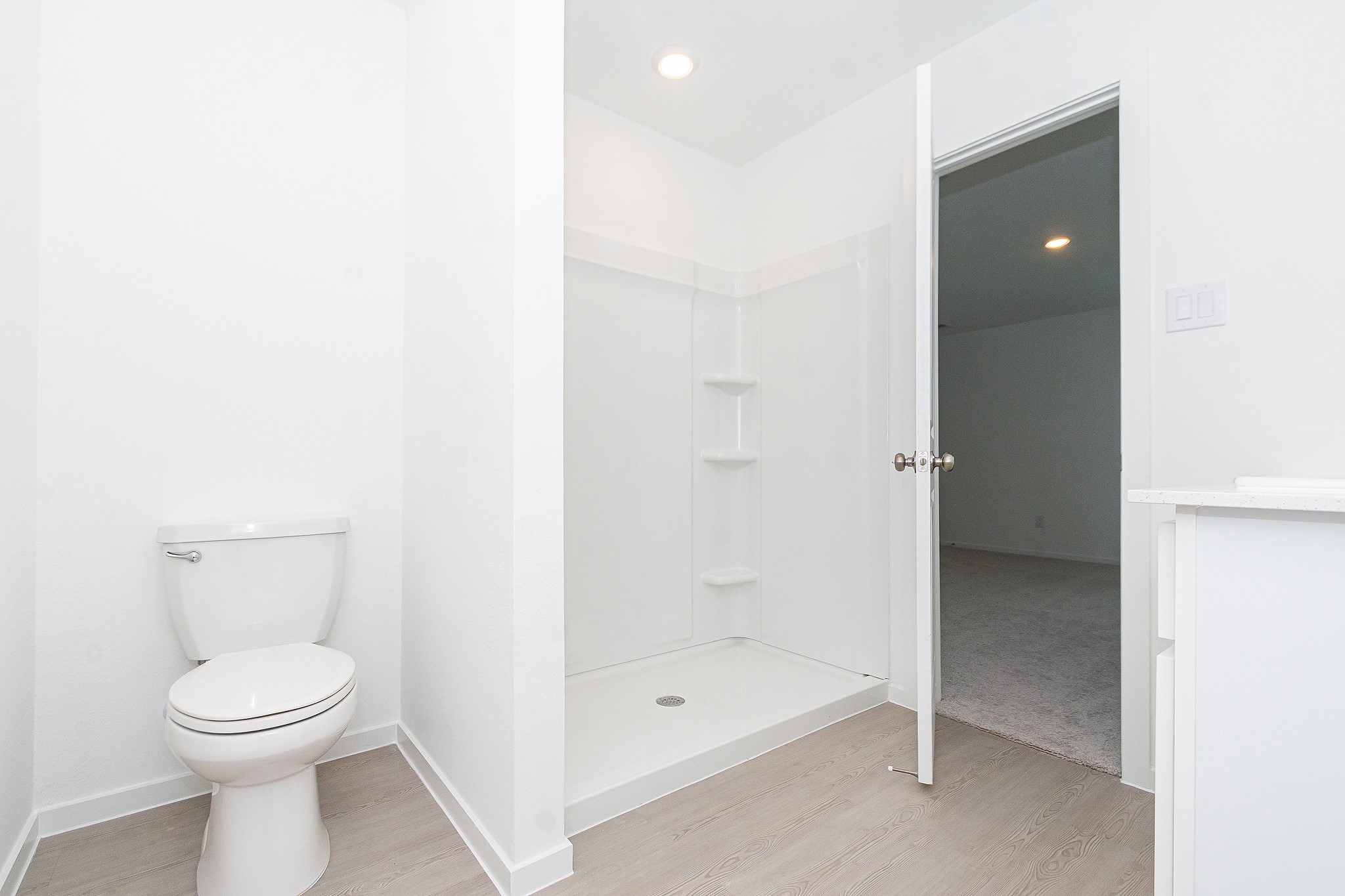 12819 Ivy Creek Ct Property Photo 13