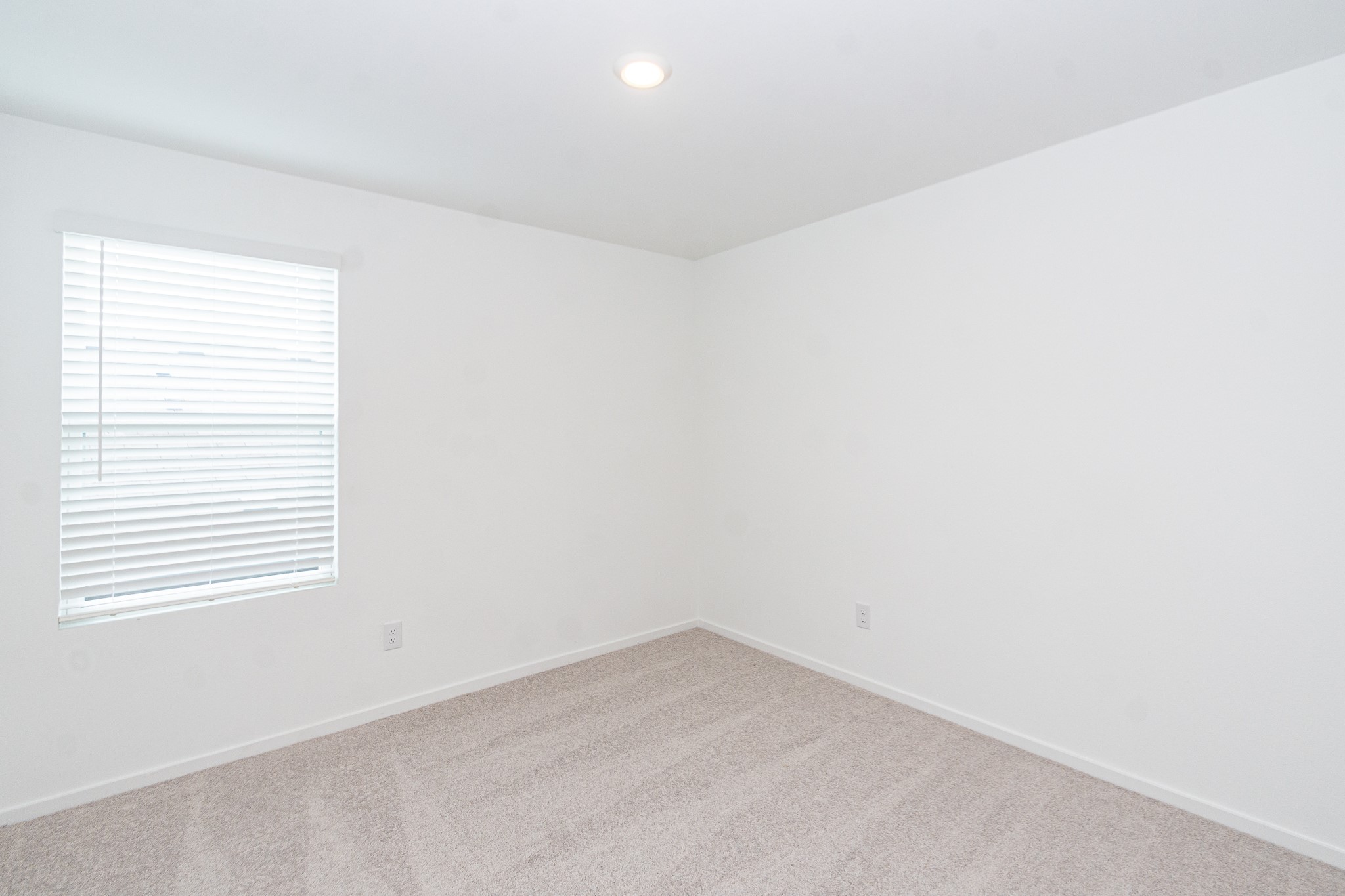 12819 Ivy Creek Ct Property Photo 17