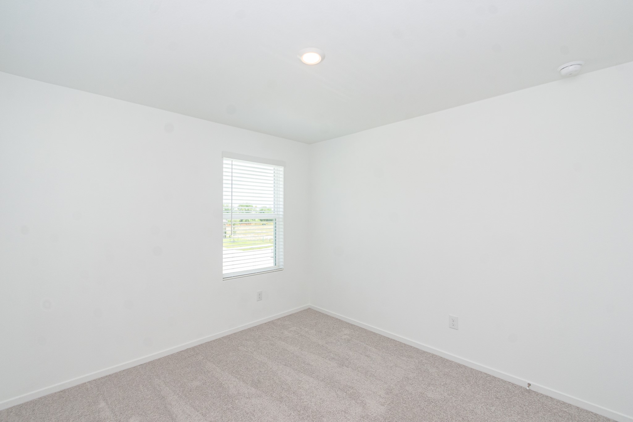 12819 Ivy Creek Ct Property Photo 20