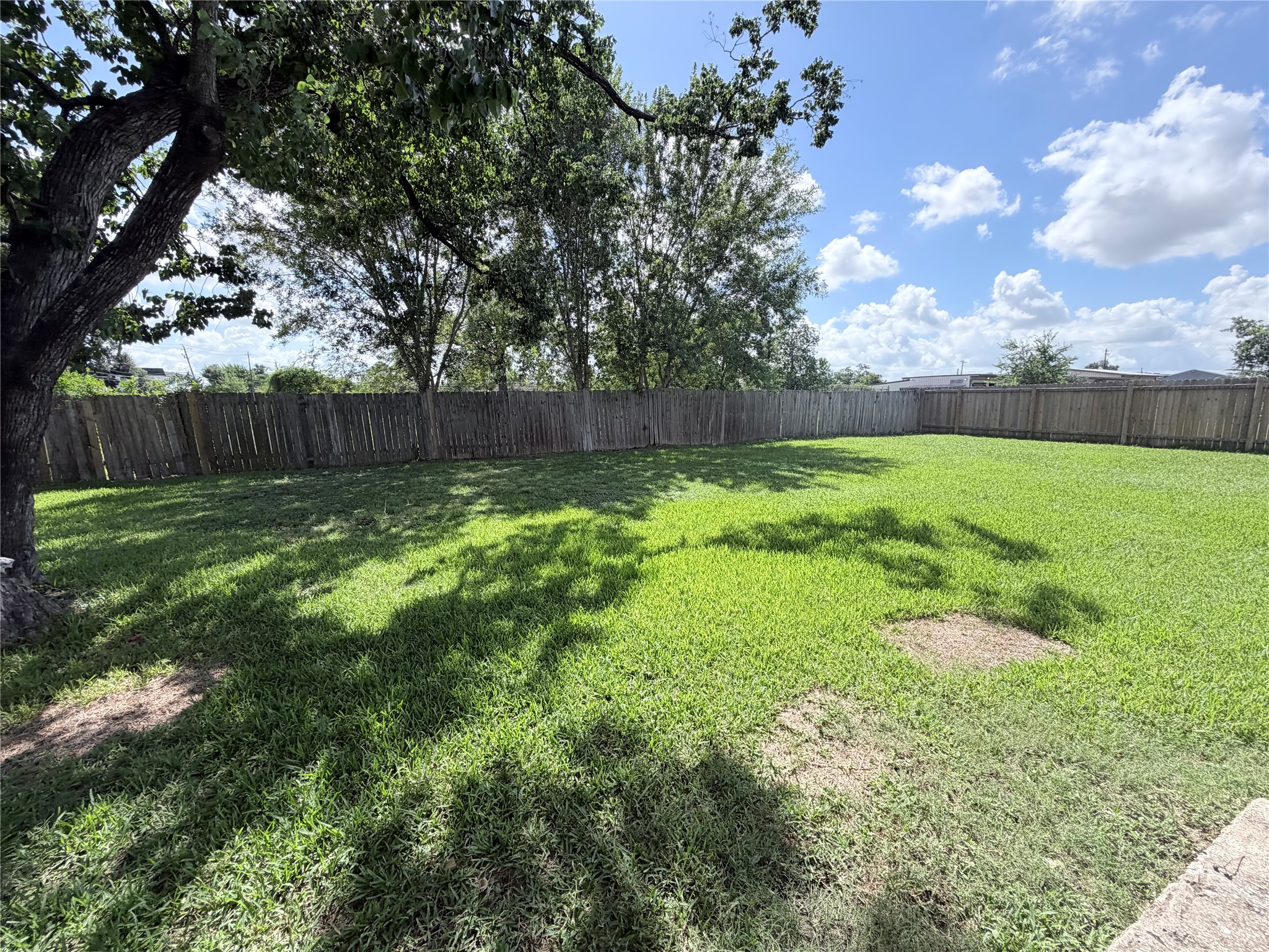 501 Evanston Street Property Photo 21