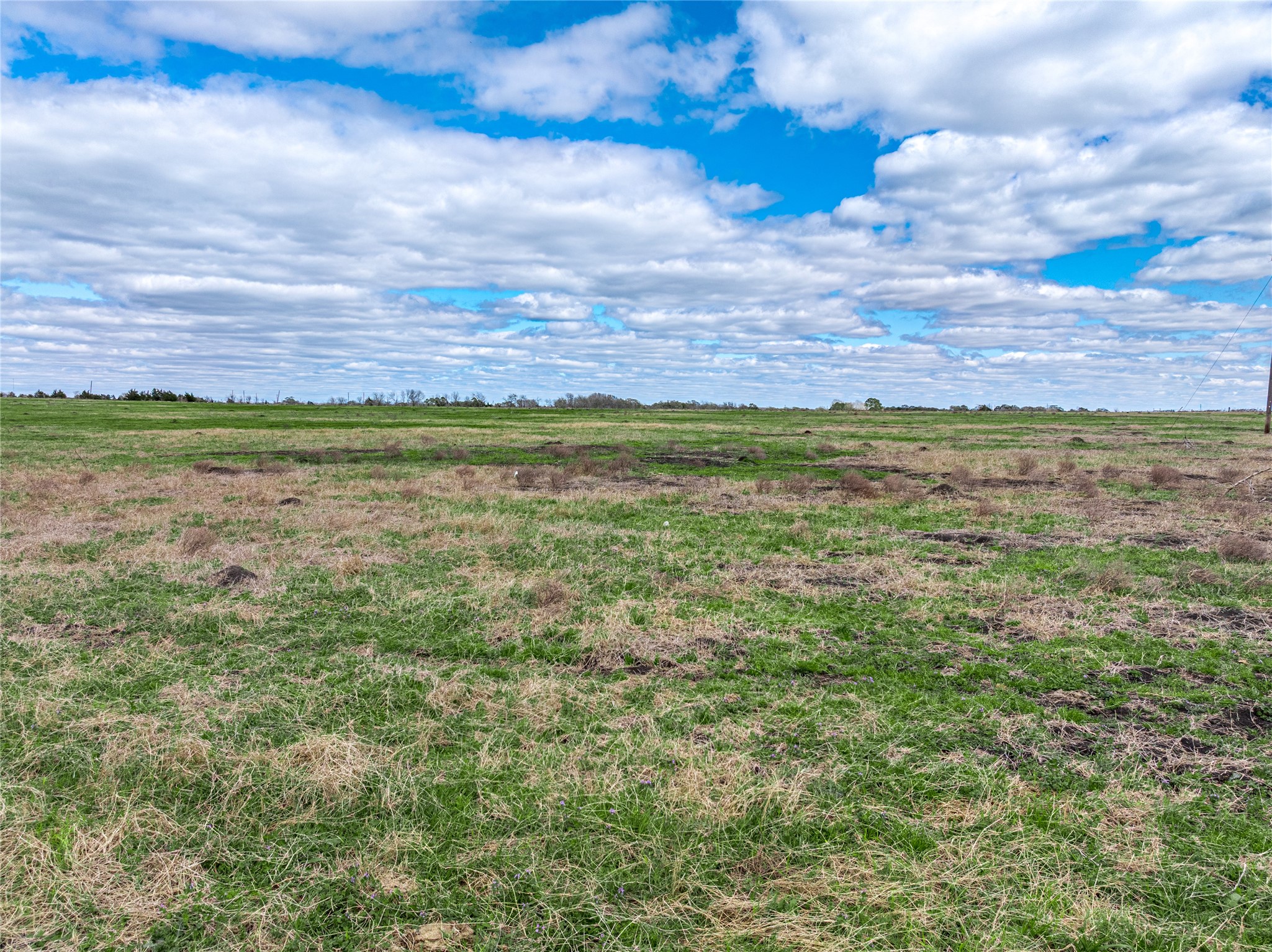 Tbd Fm 155 S Tract 3 Property Photo