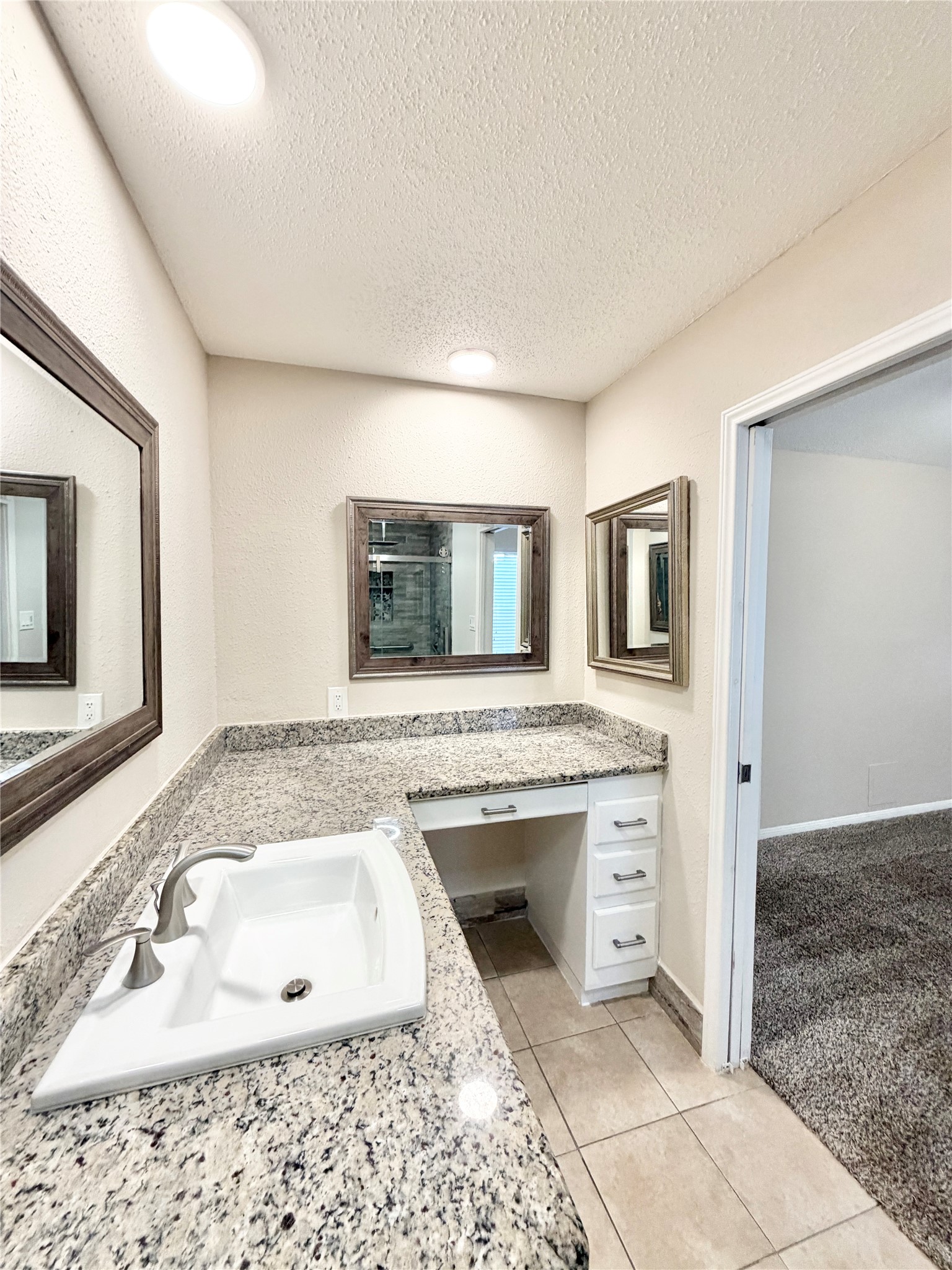 11223 Willow Field Drive Property Photo 13
