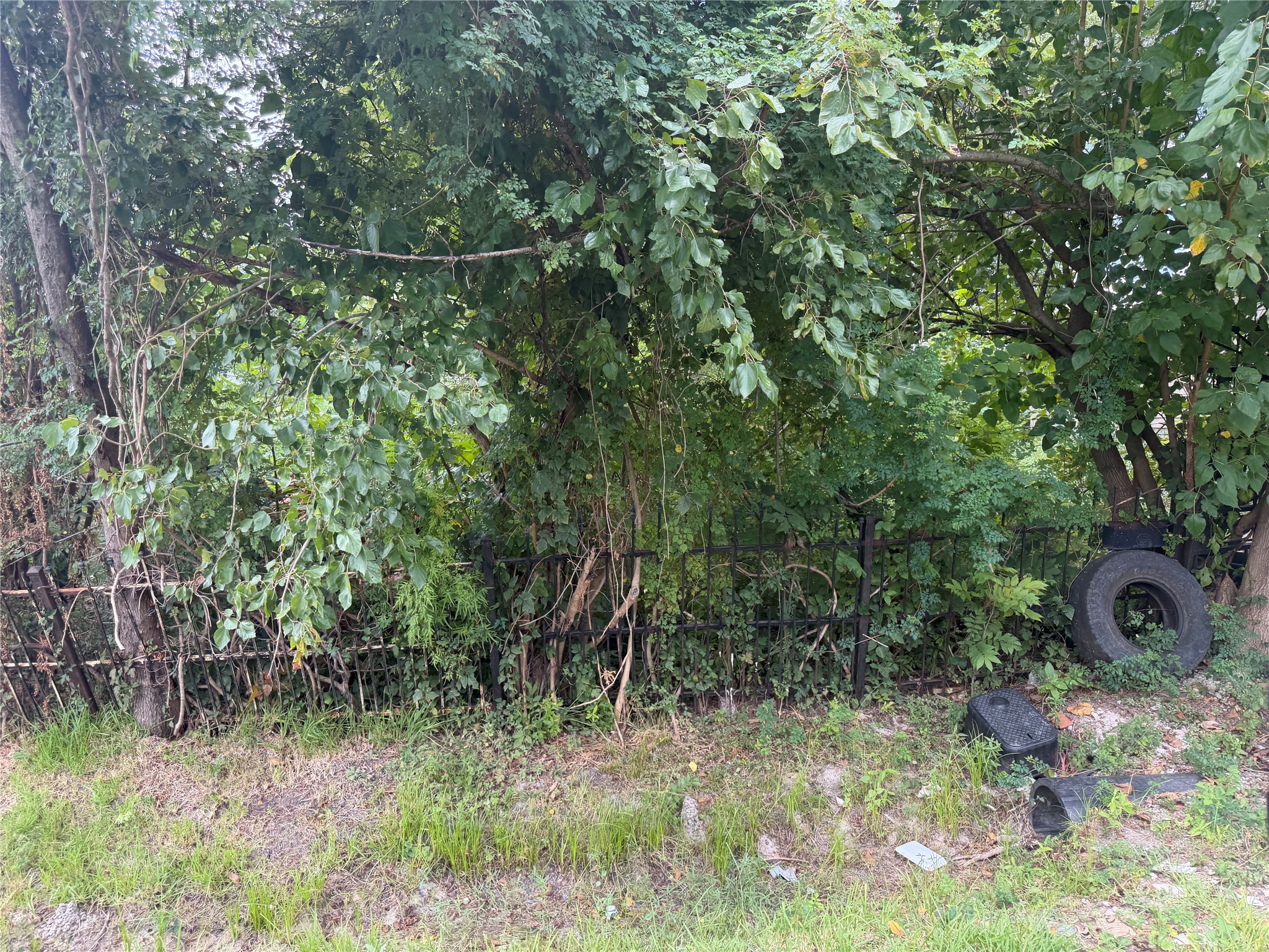 12009 Anchick Street Property Photo 2