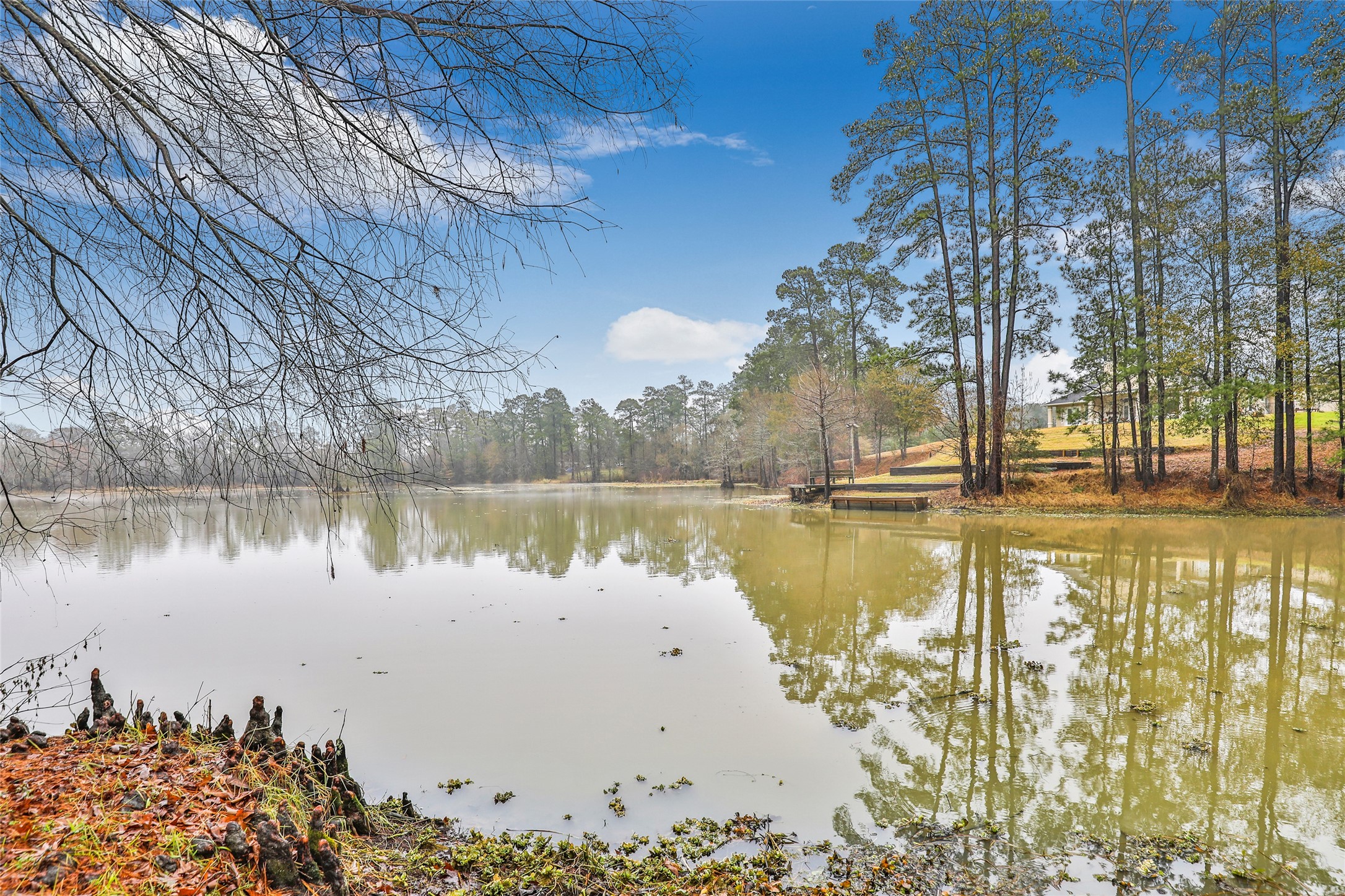 25734 Water Ridge Drive Property Photo 4