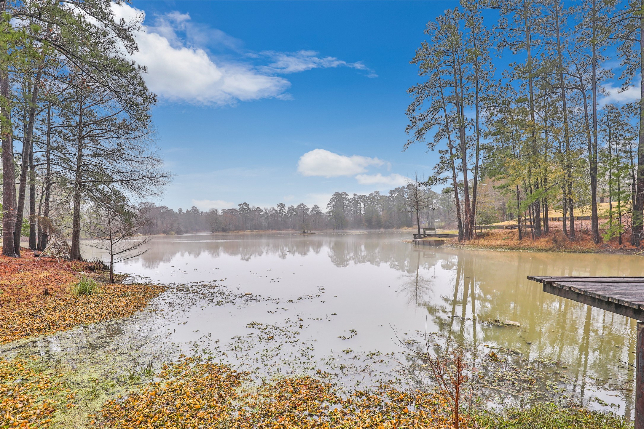 25734 Water Ridge Drive Property Photo 7