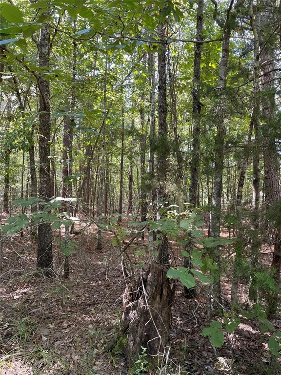 T1 Cr-3011 Property Photo 1