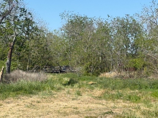 12217 Fm 1462 Property Photo 2