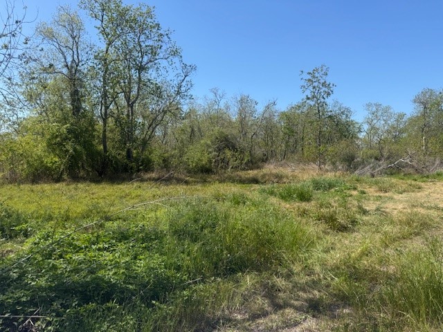 12217 Fm 1462 Property Photo 4