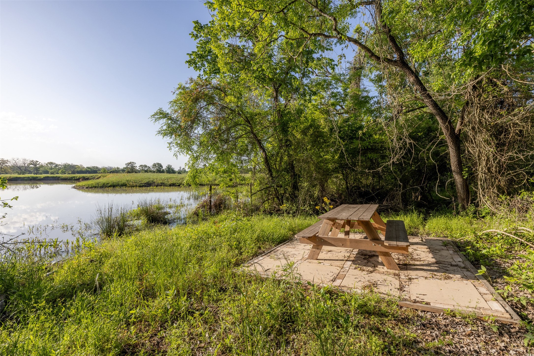 000 Clear Lake Road Property Photo 9