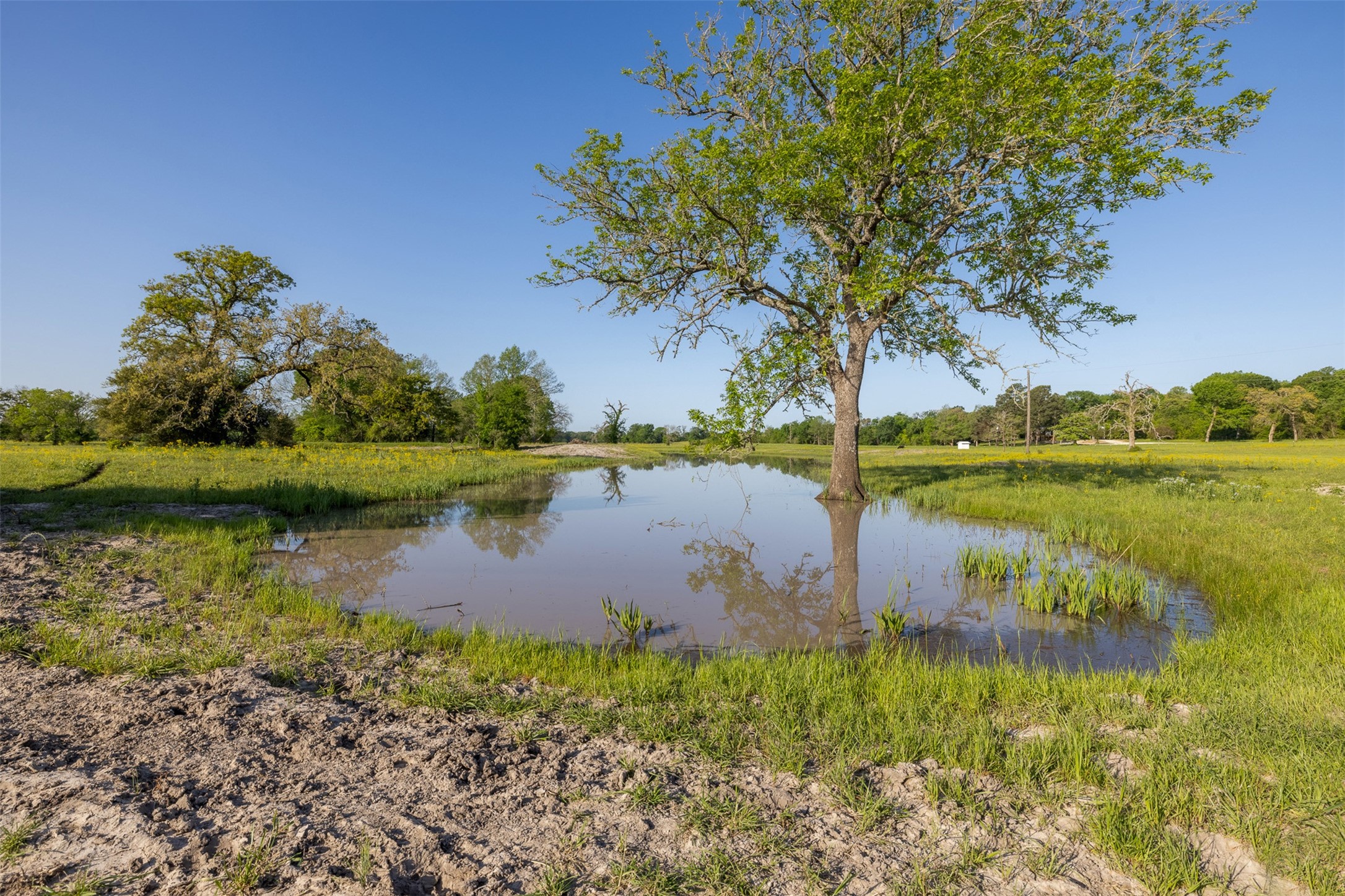 000 Clear Lake Road Property Photo 12