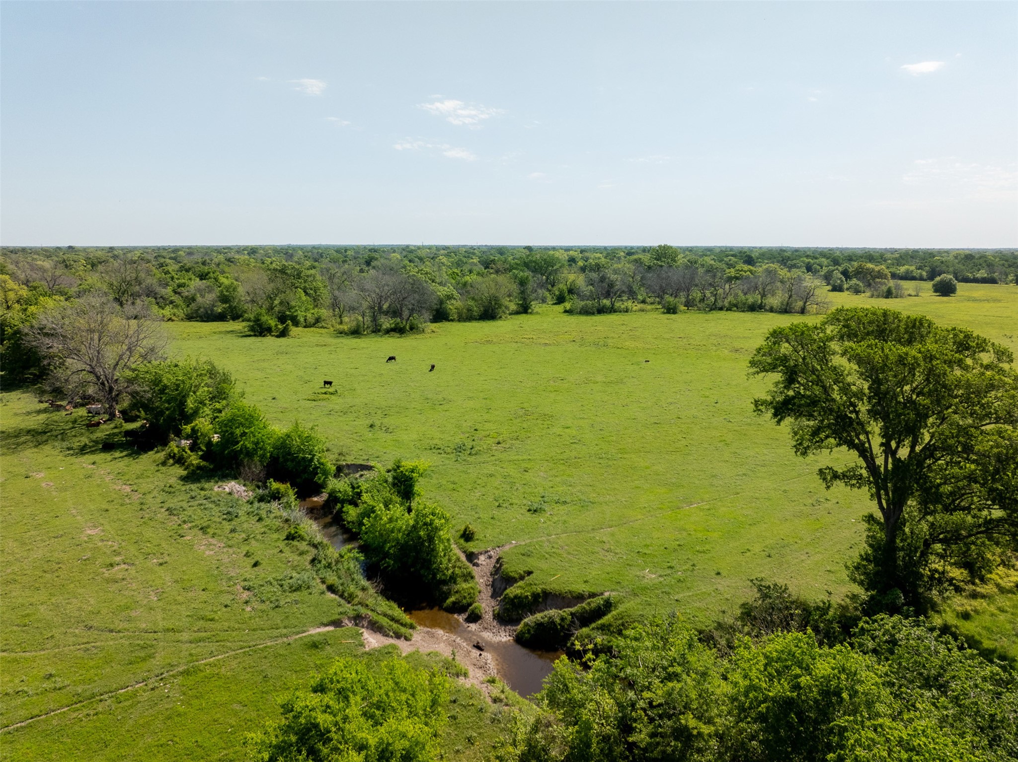 000 Clear Lake Road Property Photo 47