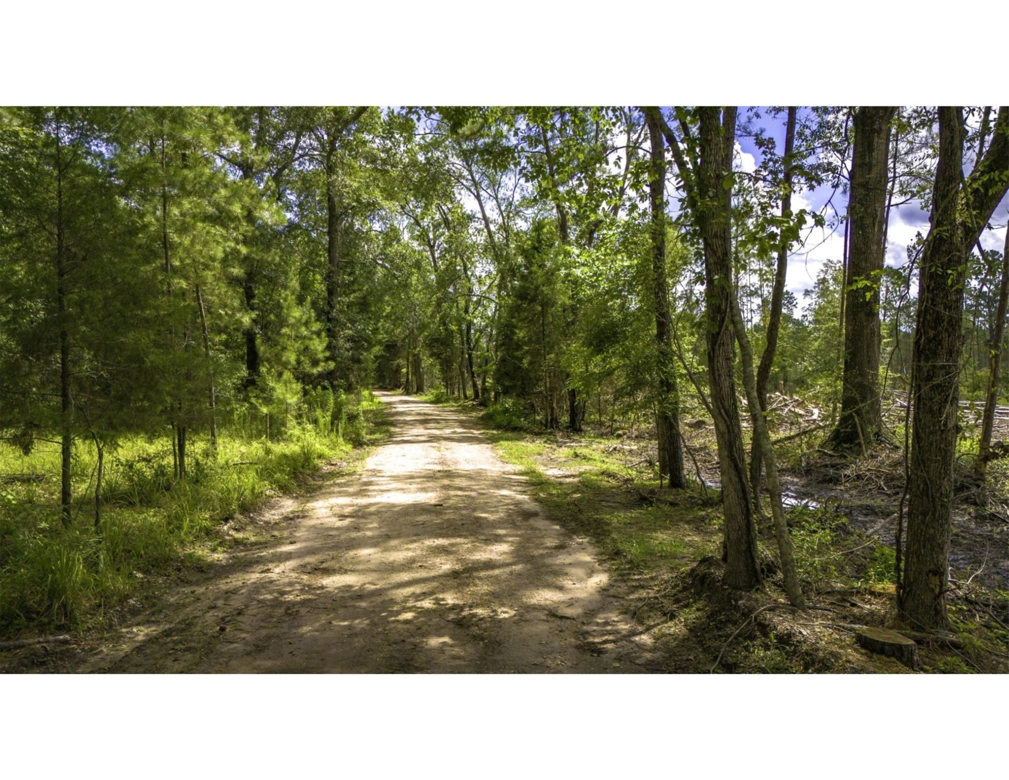 Tbd Lot 003 Holland Road Property Photo 1