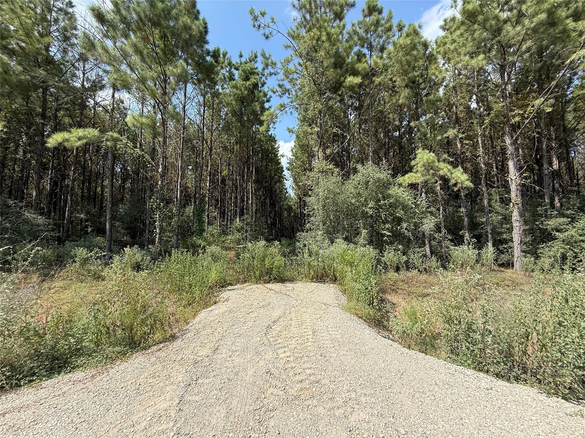5700 Black Cat Road, Sour Lake Tx 77659 Property Photo 1