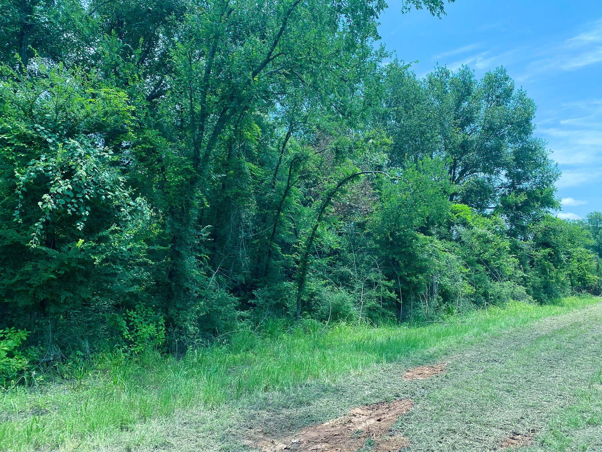 Tr2 Hwy 7 Property Photo 1