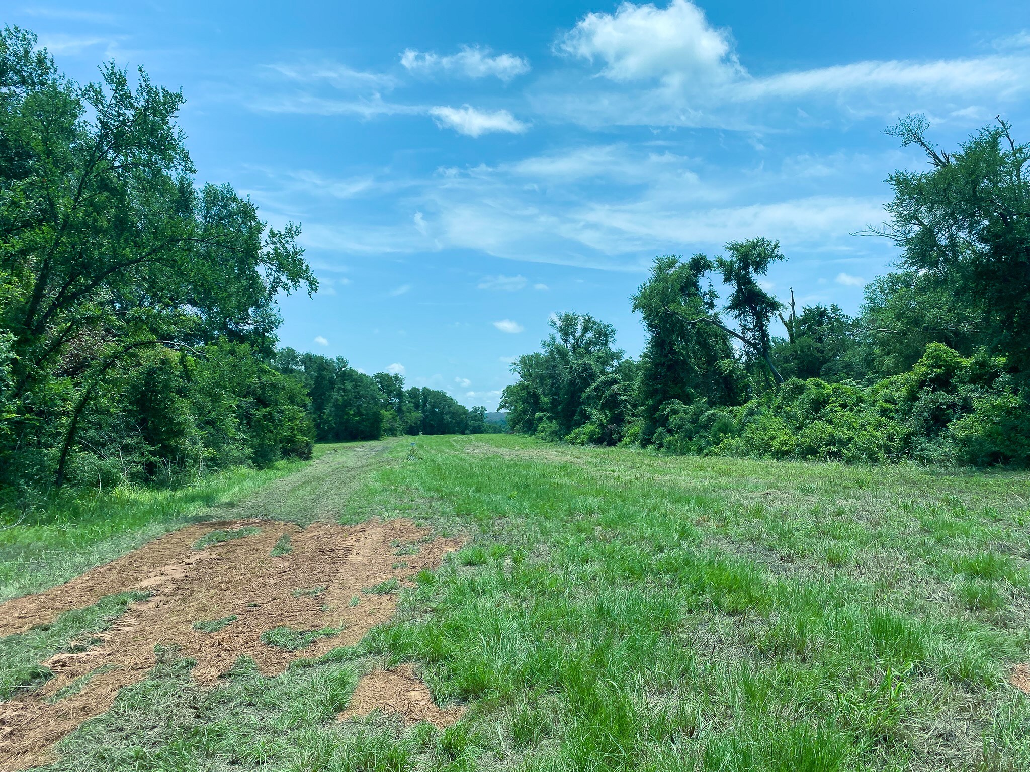 Tr2 Hwy 7 Property Photo 3