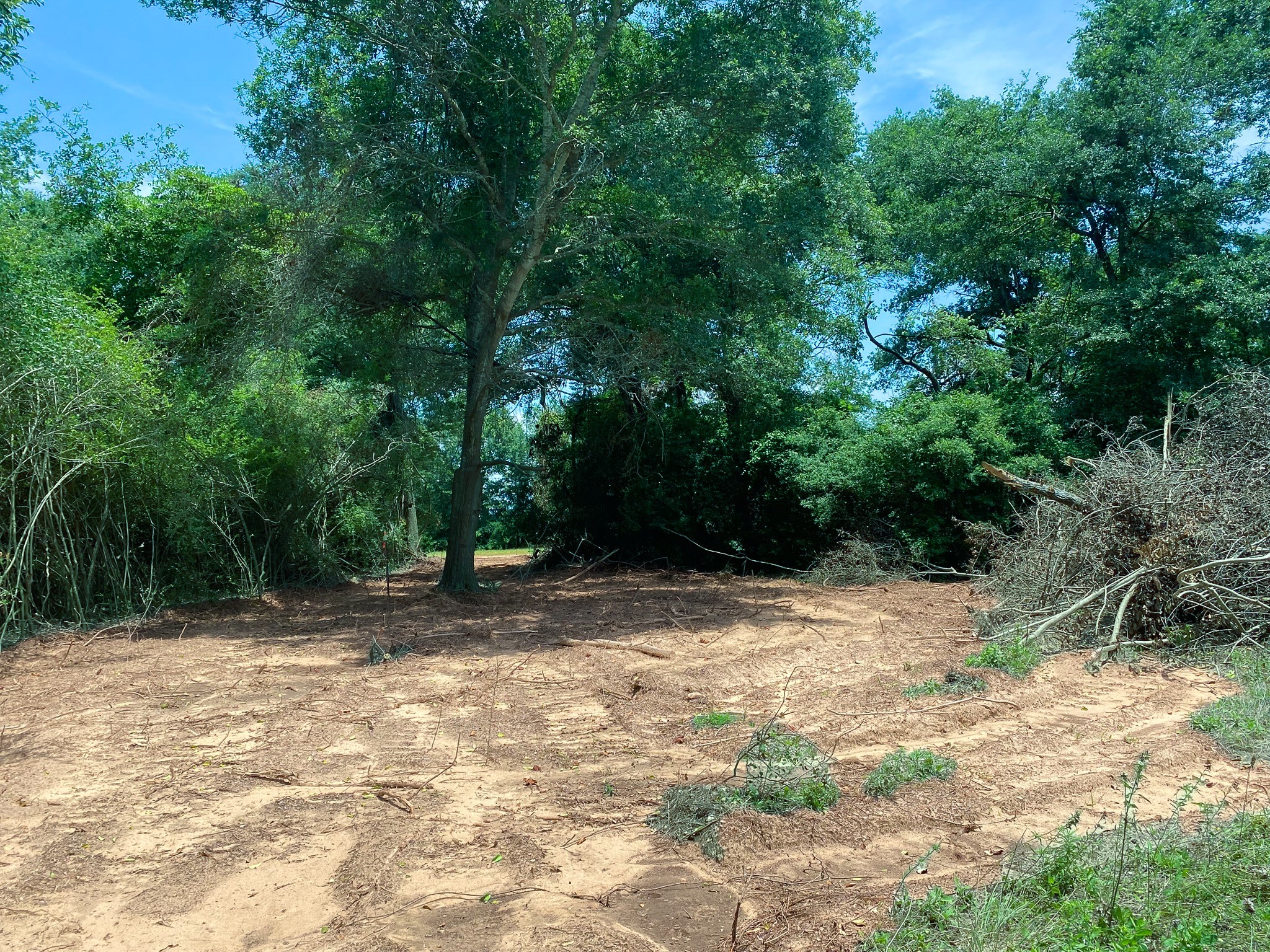 Tr2 Hwy 7 Property Photo 4