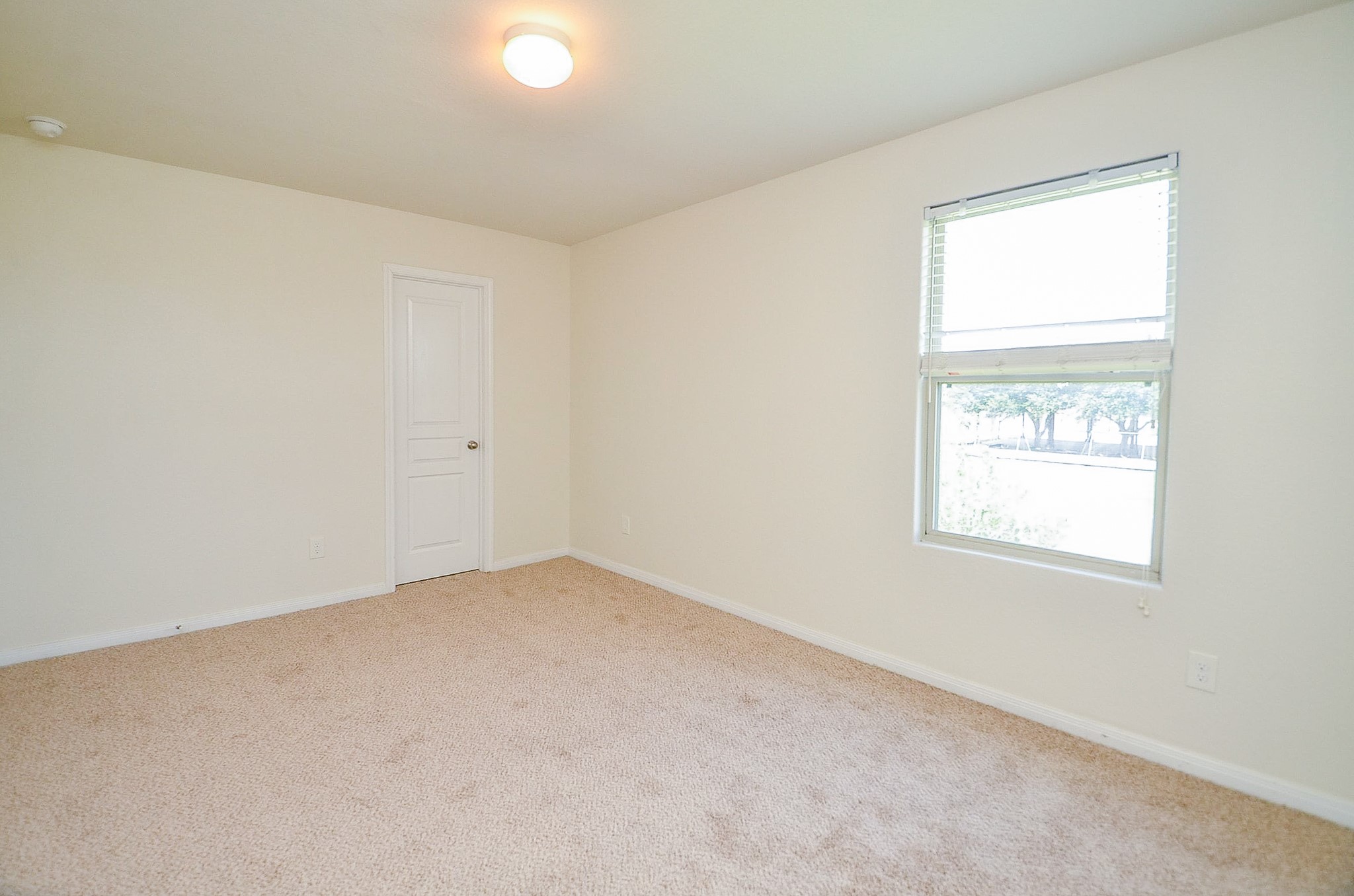 2539 Bedrock Lane Property Photo 23