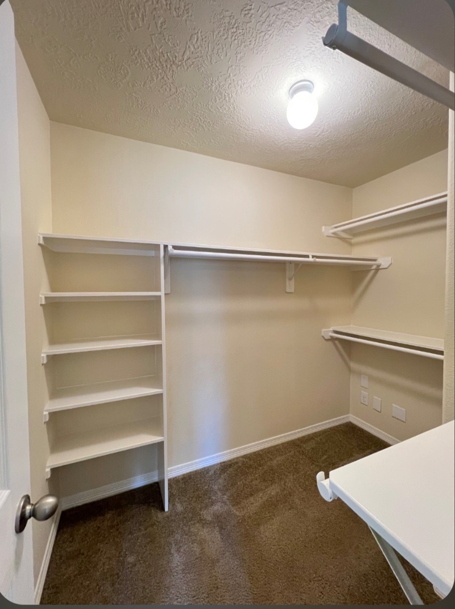 6207 Lovage Avenue Property Photo 13