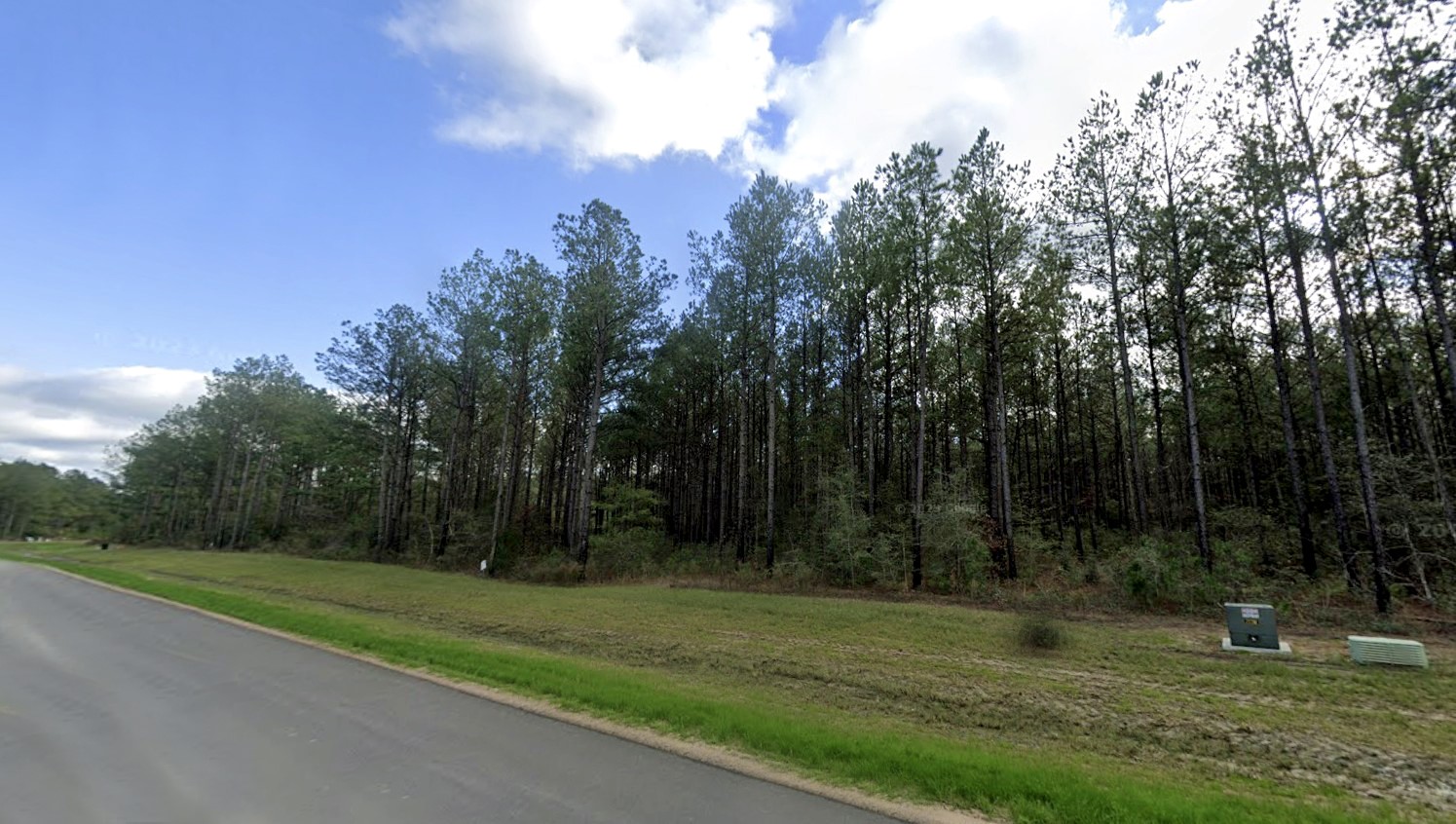 15618 Cricket Creek Court Property Photo 4