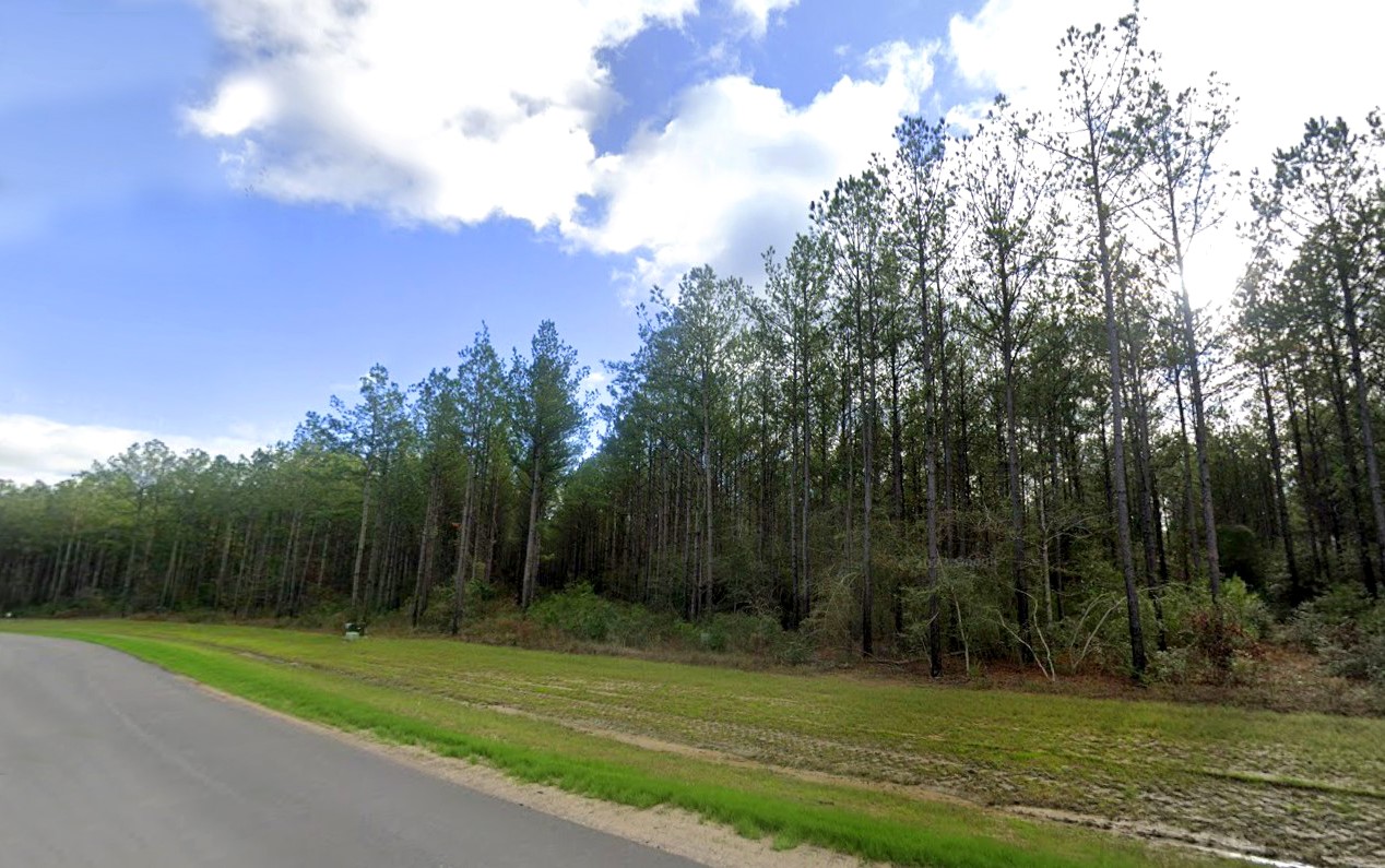 15618 Cricket Creek Court Property Photo 5