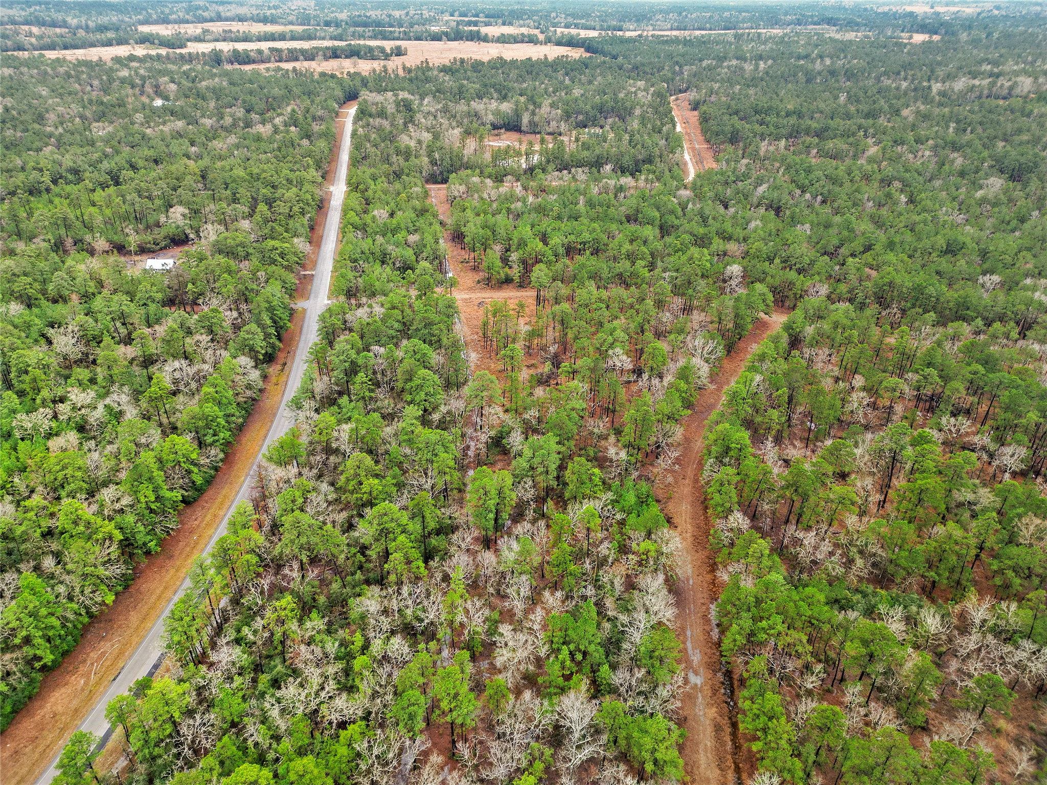 Tbd Urlene Lane Property Photo 3