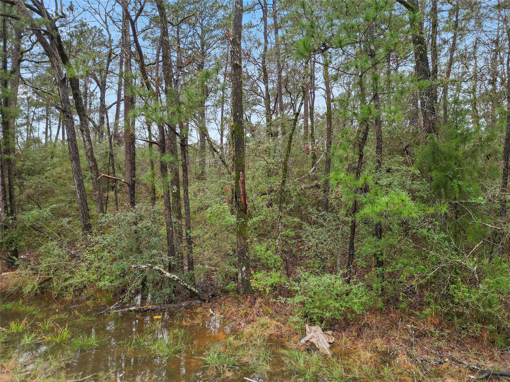 Tbd Urlene Lane Property Photo 5