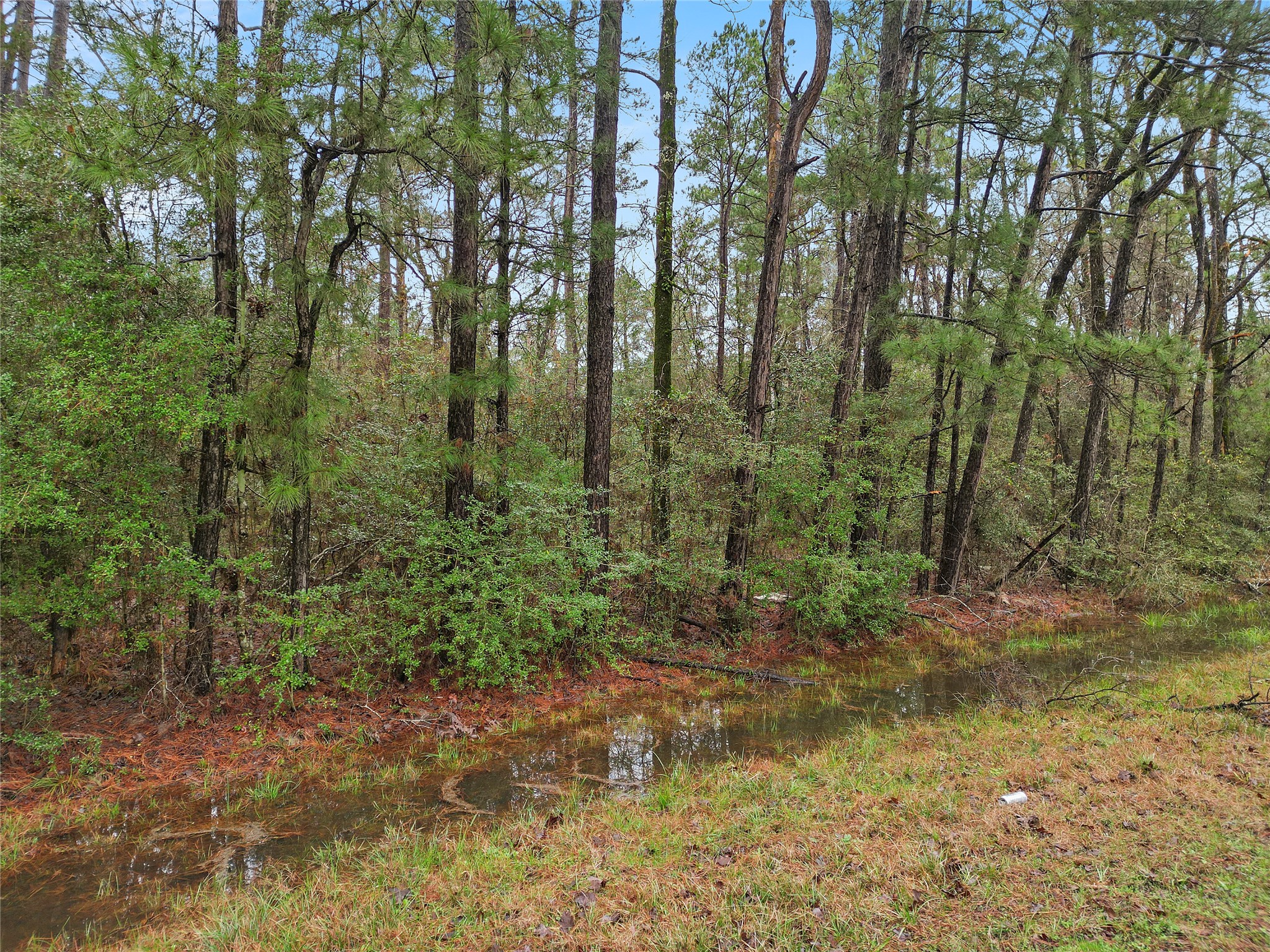 Tbd Urlene Lane Property Photo 6