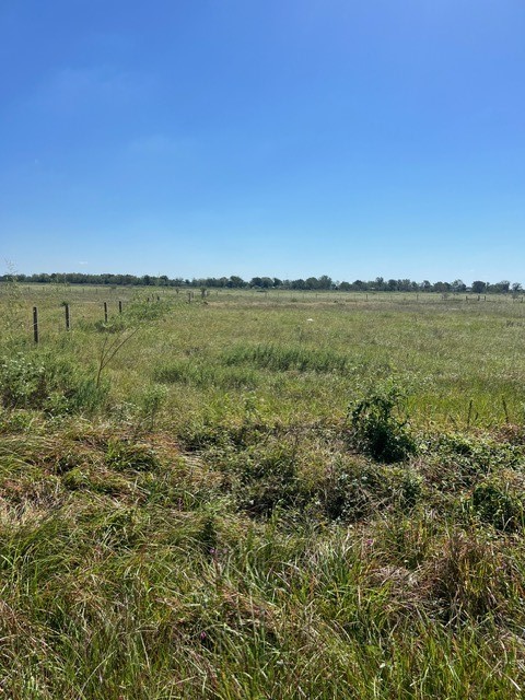 1118 Grubbs Tract 3 Road Property Photo 4