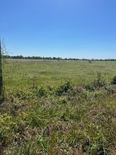 1118 Grubbs Tract 3 Road Property Photo 5