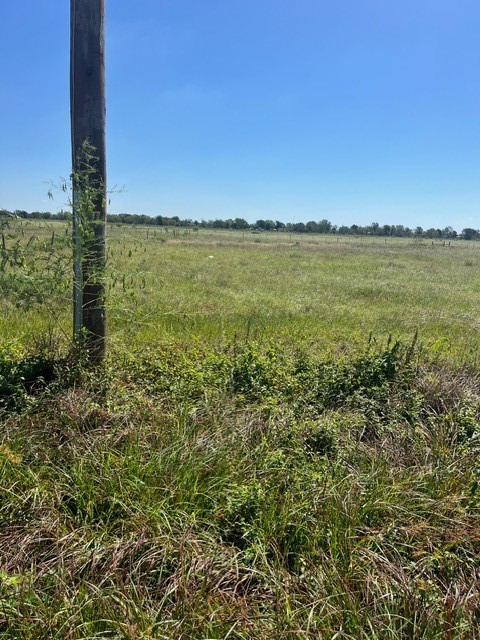1118 Grubbs Tract 3 Road Property Photo 6