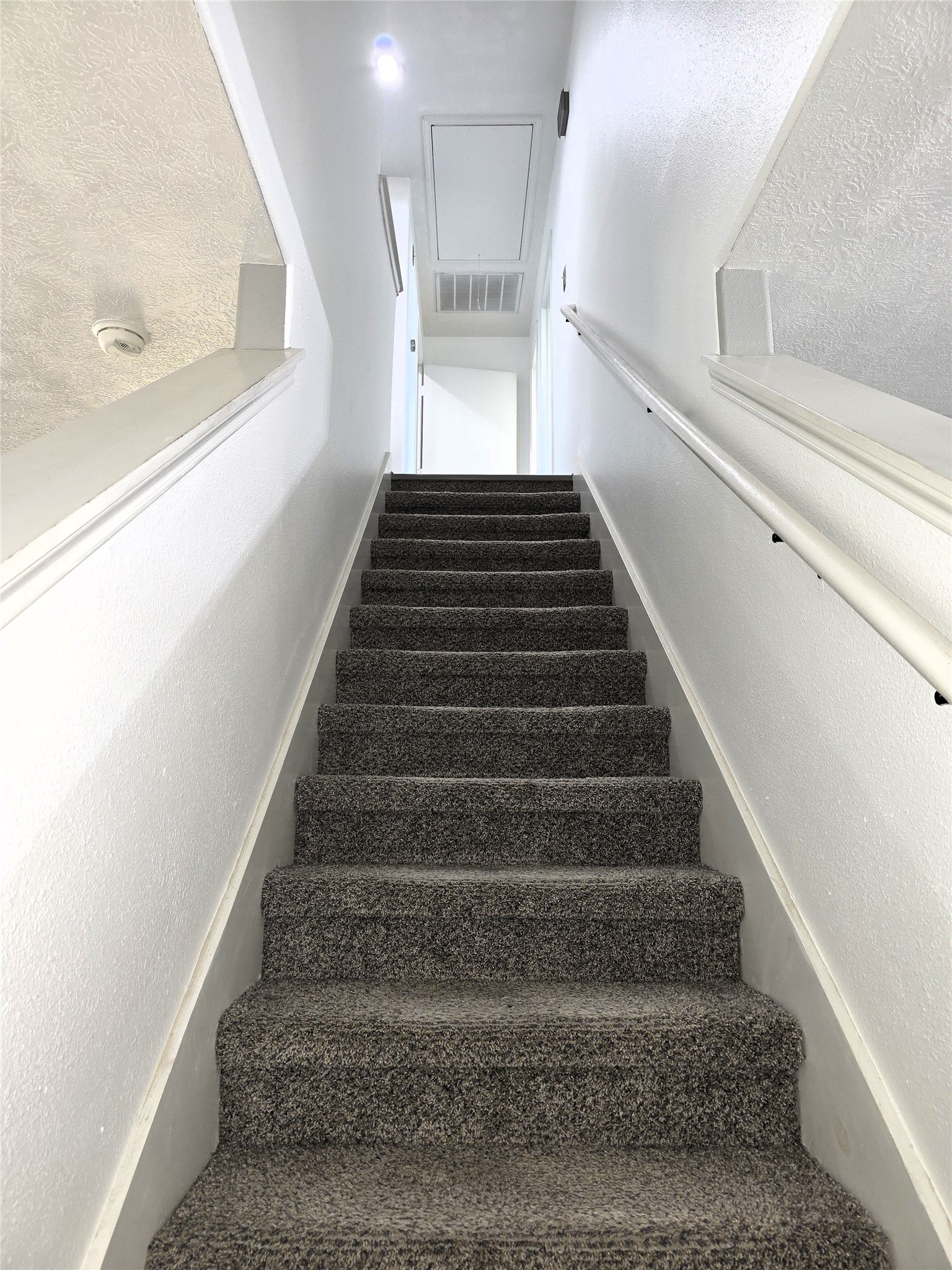 2507 Cypress Island Drive Property Photo 16