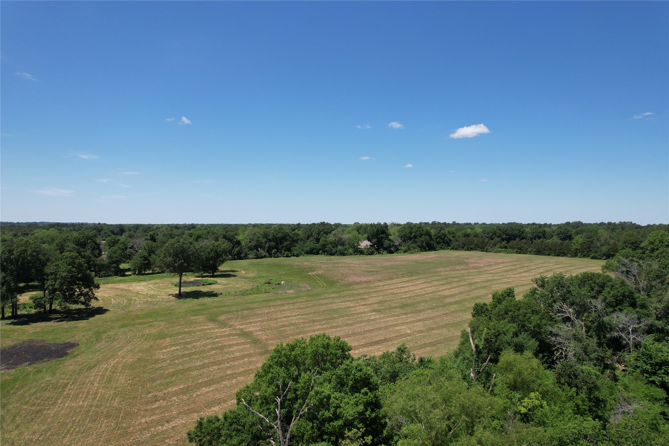Tbd E Loop 304 / Joe Kale Road Property Photo 15