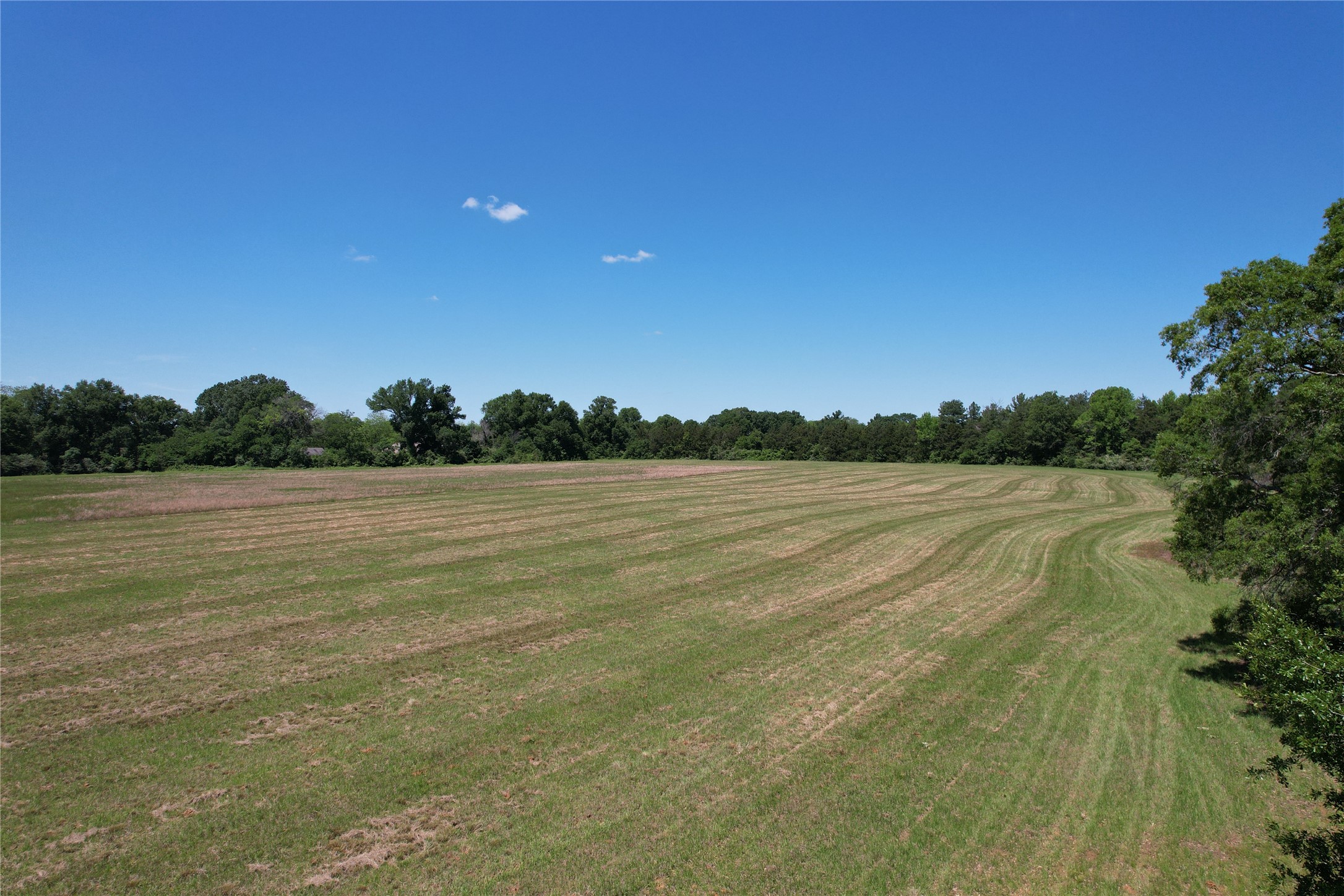 Tbd E Loop 304 / Joe Kale Road Property Photo 17