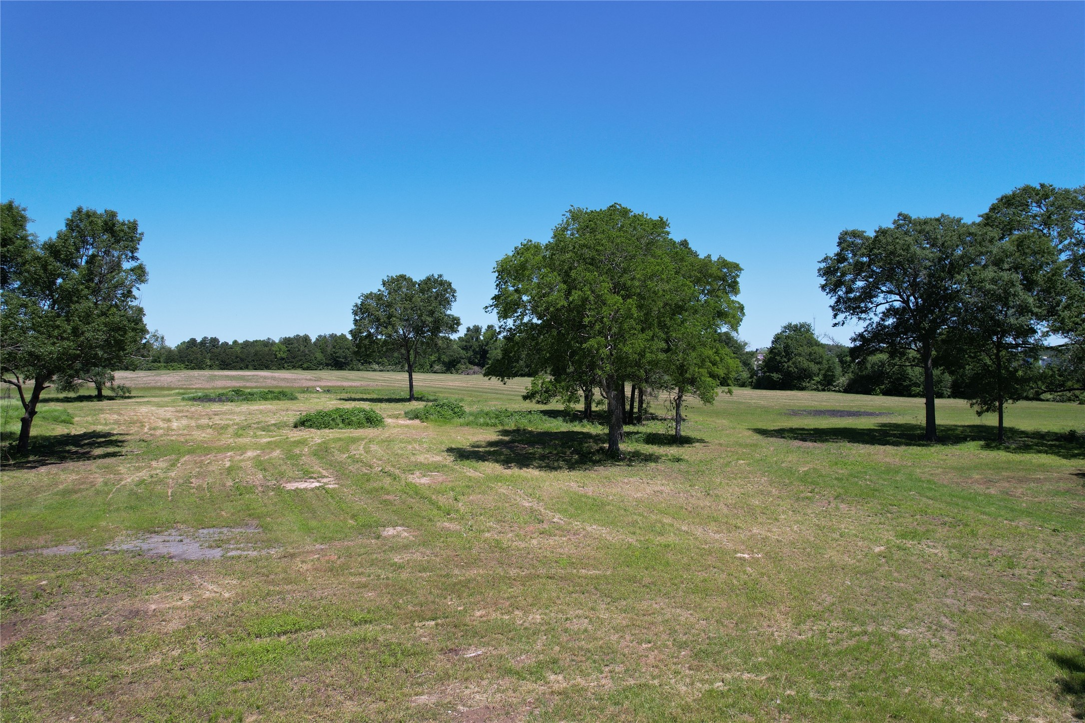 Tbd E Loop 304 / Joe Kale Road Property Photo 18