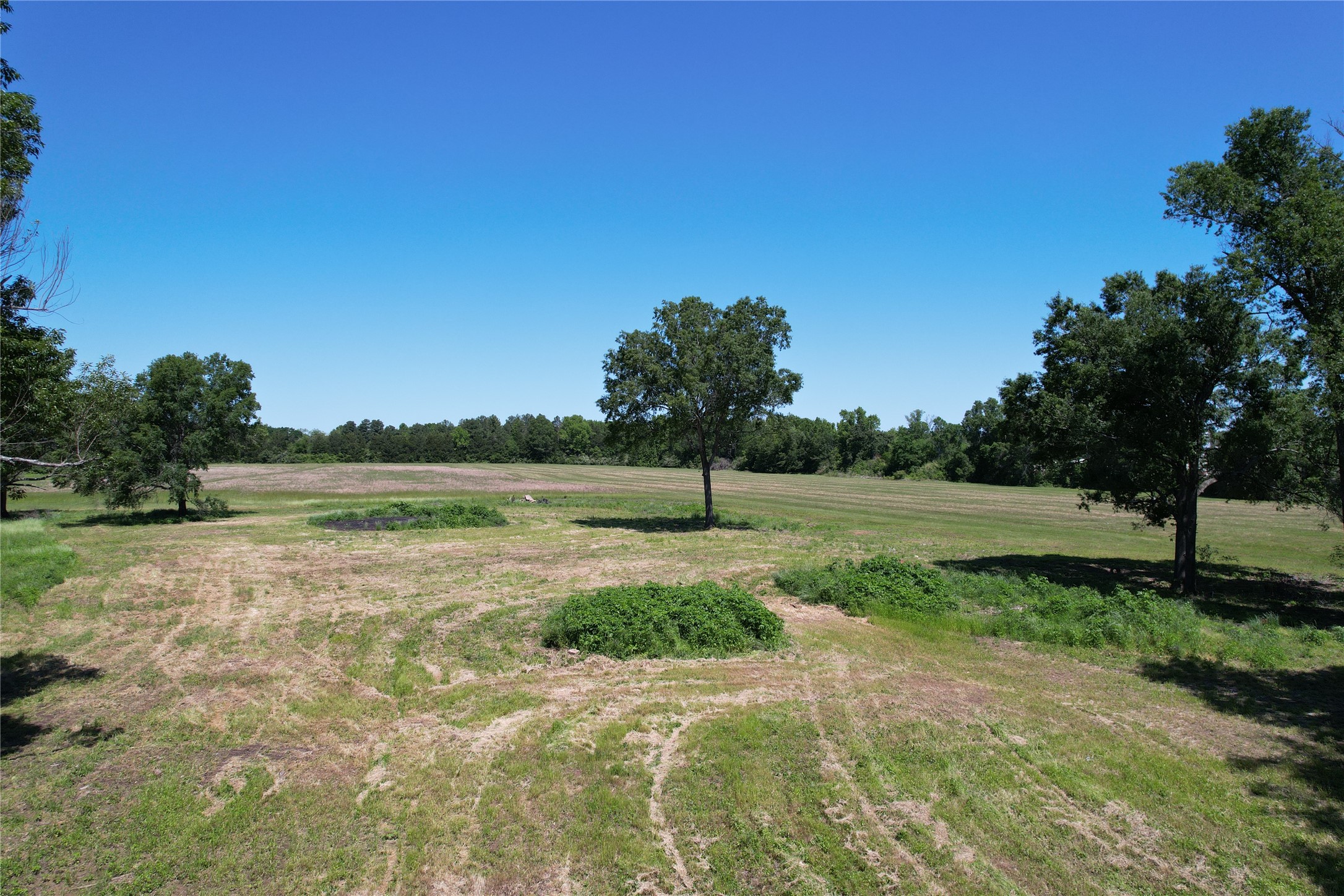 Tbd E Loop 304 / Joe Kale Road Property Photo 19