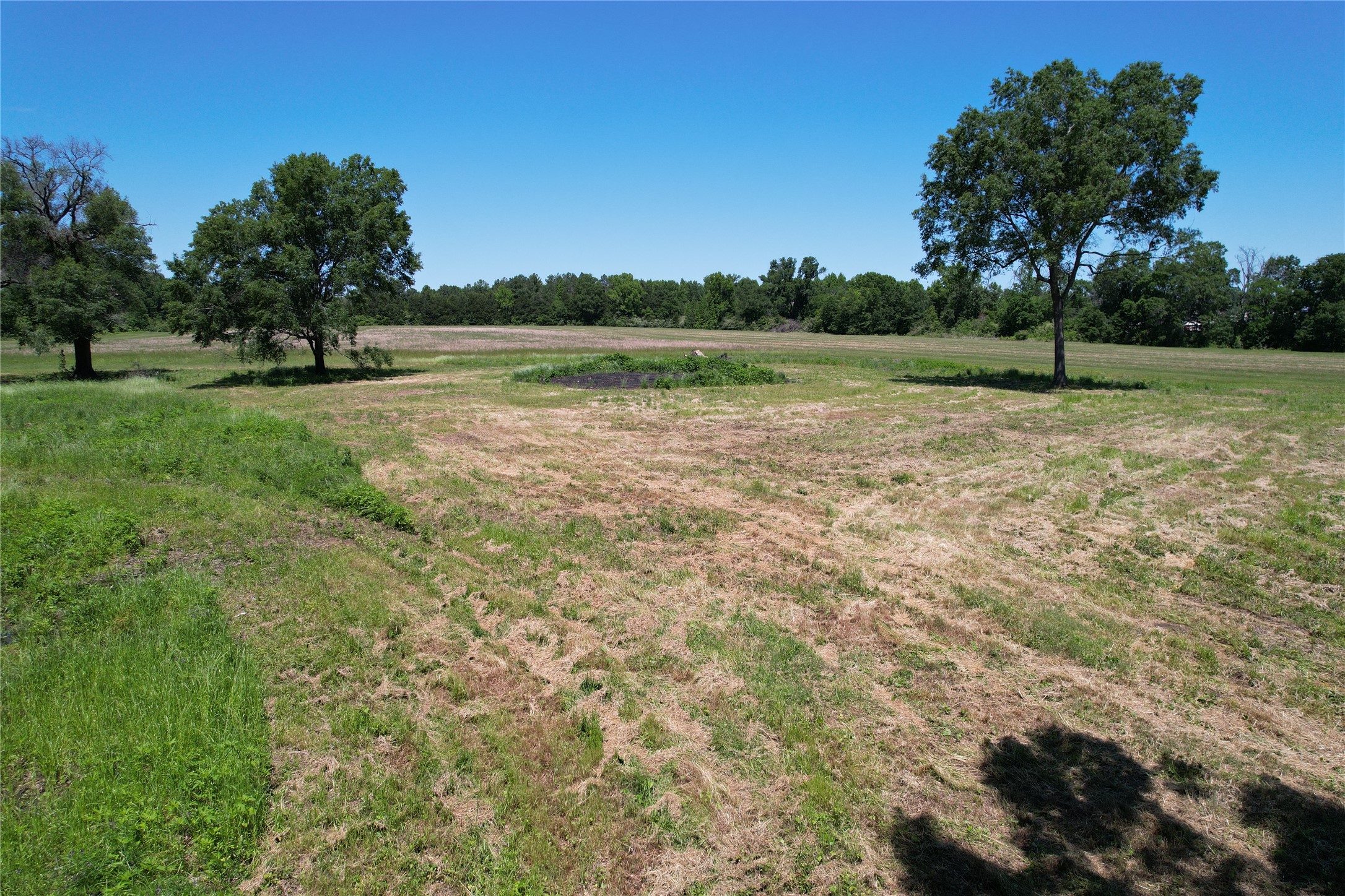 Tbd E Loop 304 / Joe Kale Road Property Photo 20