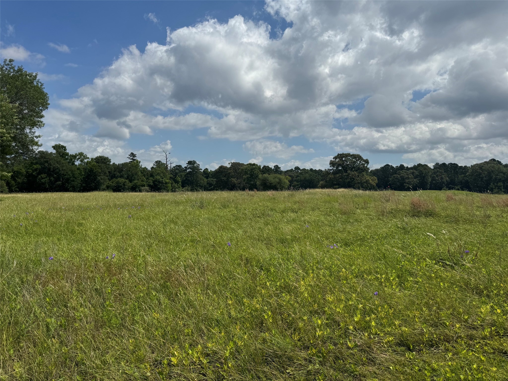 0 Richmond Circle Property Photo 3
